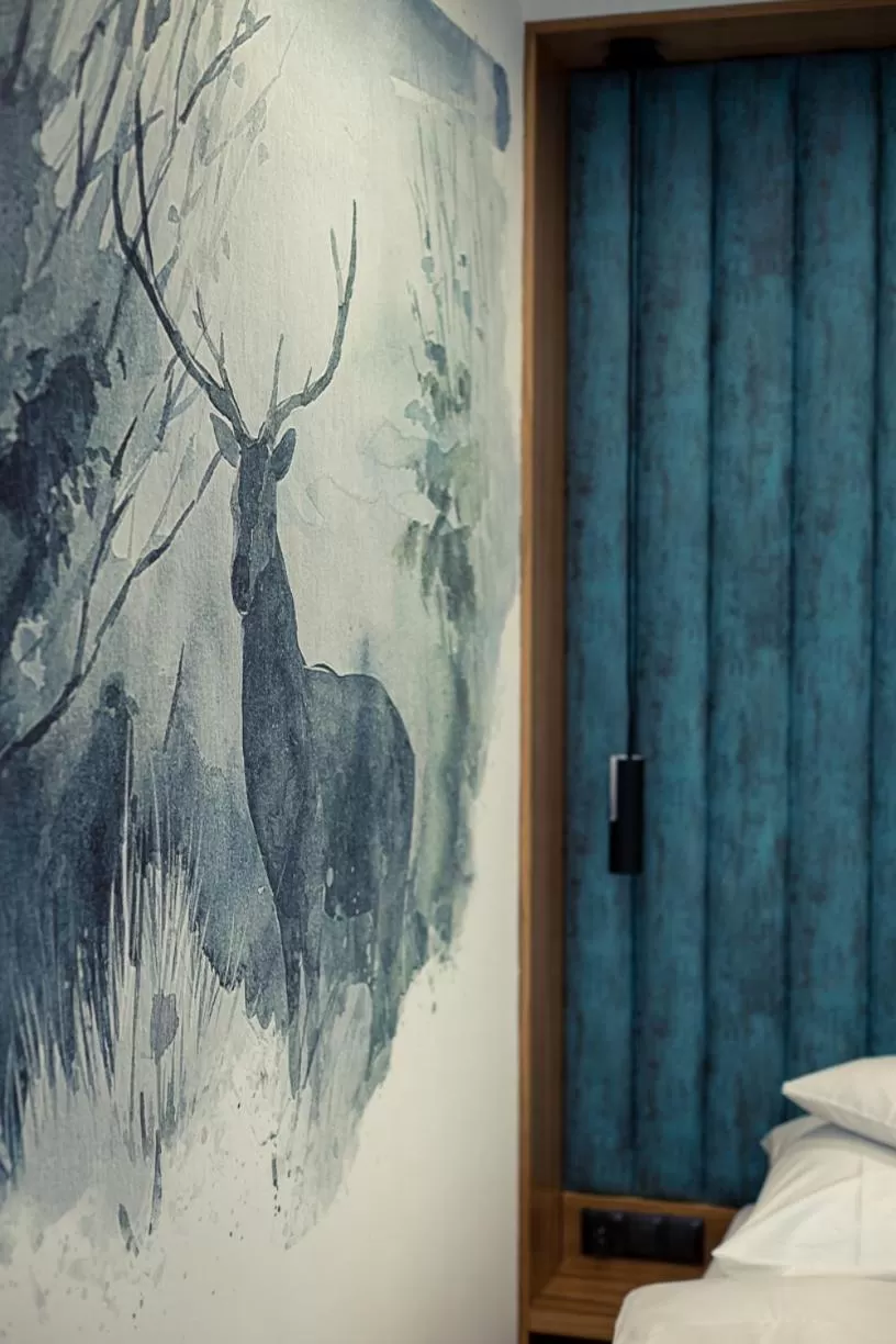 Photo of the whole room in Jagiellońska Residence