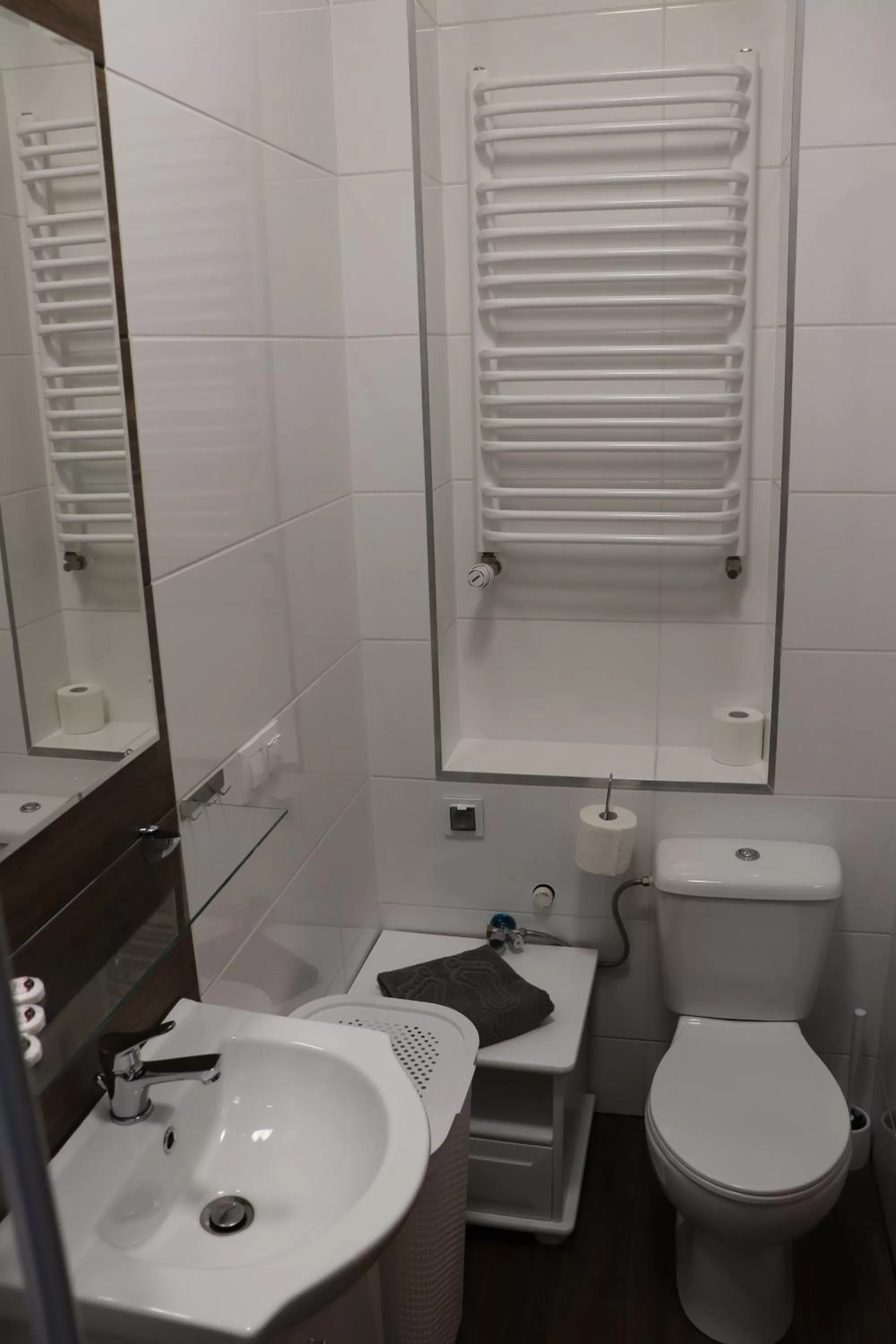 Toilet in Dworek pod świerkami