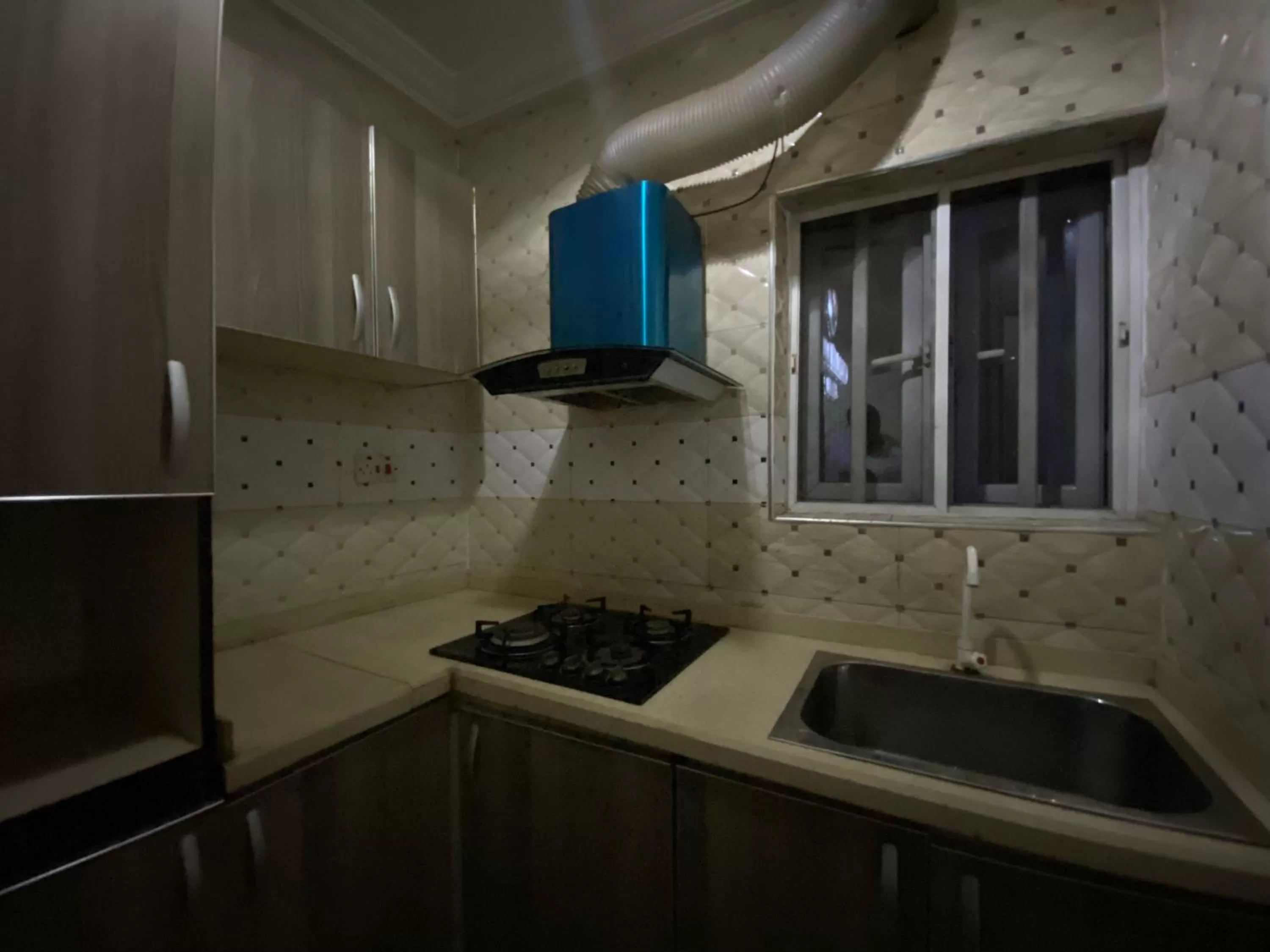 Kitchen or kitchenette, Kitchen/Kitchenette in Palazzo Apartments