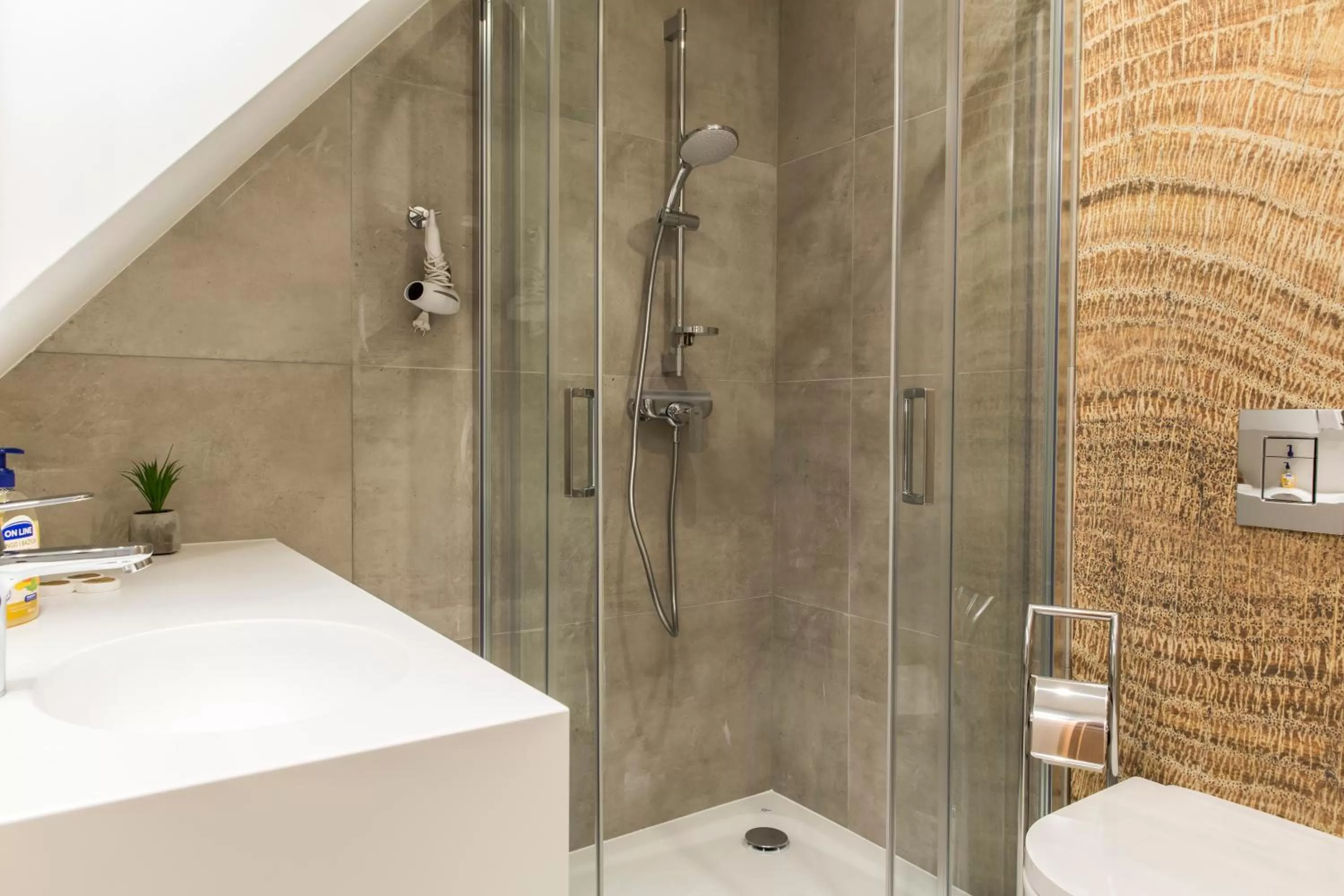 Shower in Royal Hill Residence