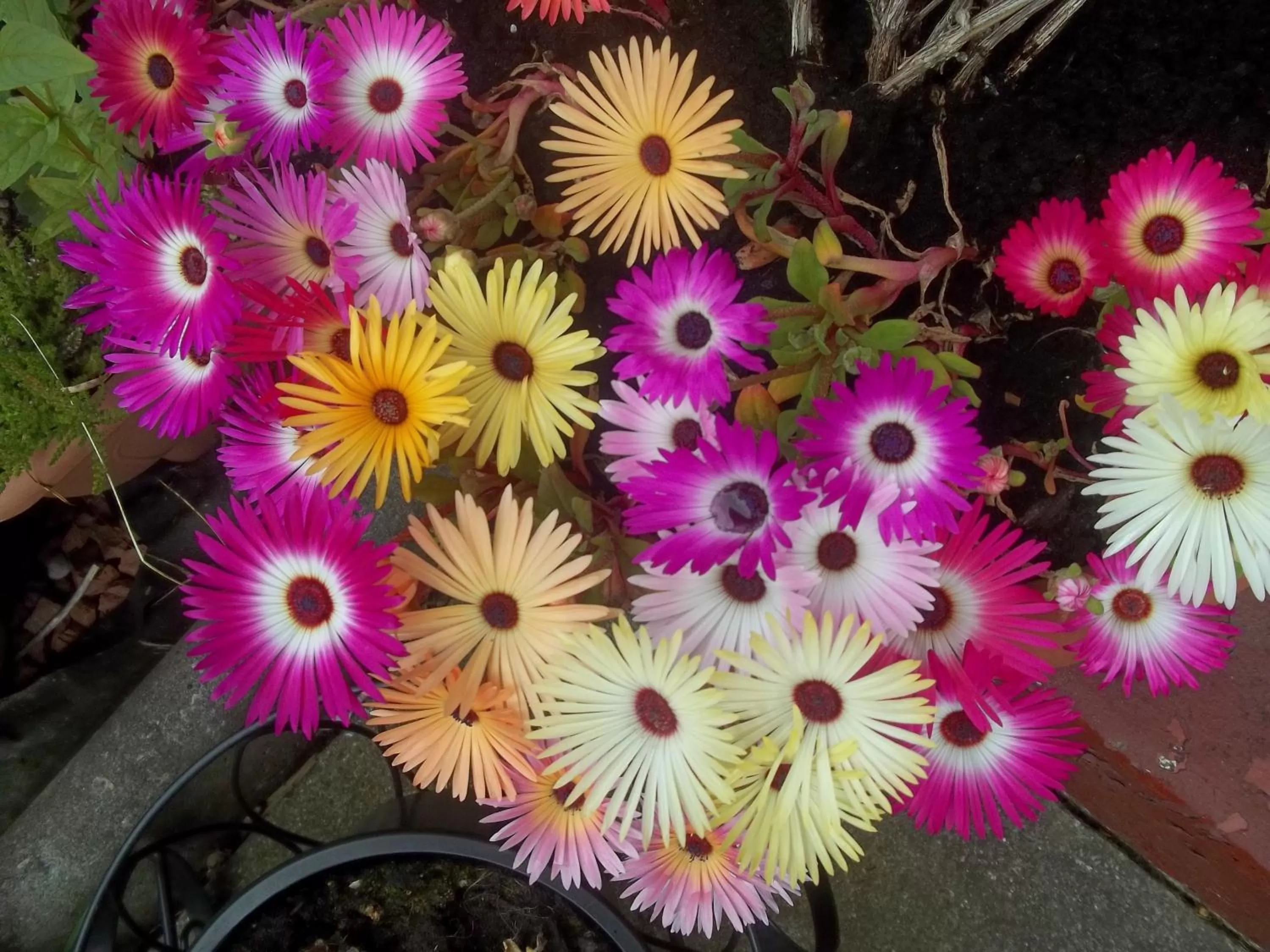 Other in Glenfern Guest House and a separate Cottage with its own private hot tub