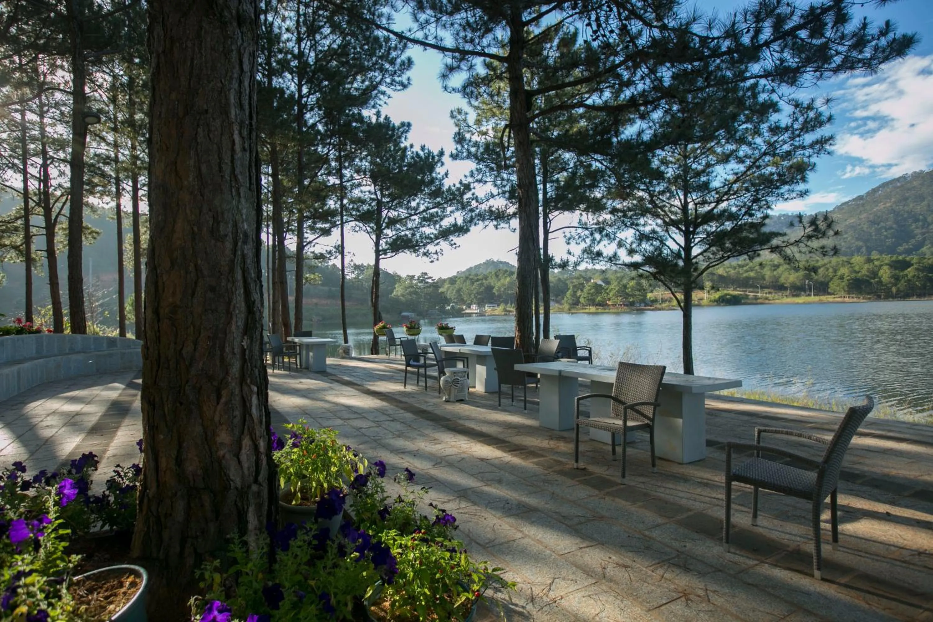 Natural landscape in Terracotta Hotel & Resort Dalat