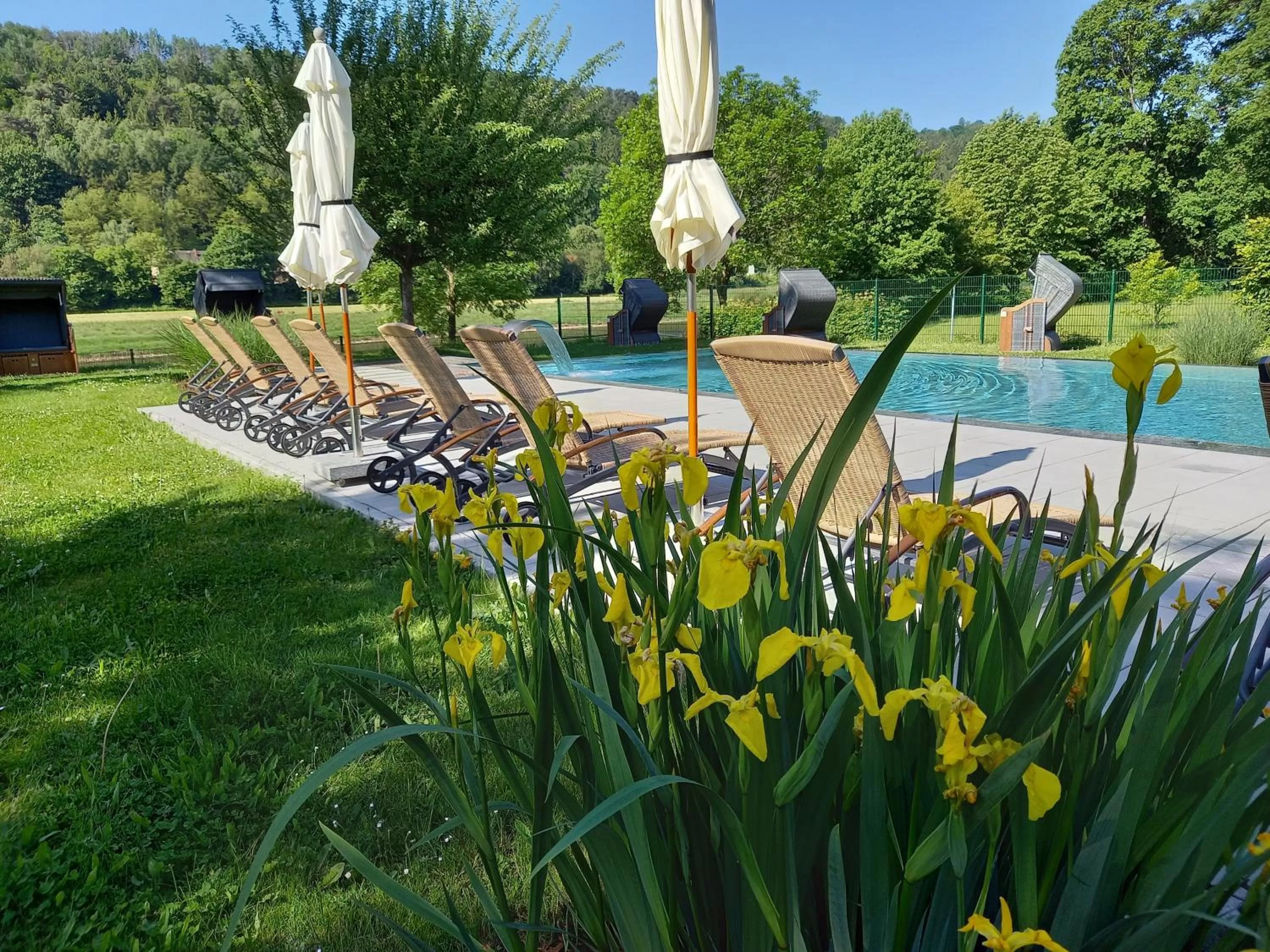 Garden in Parkhotel Bad Schandau mit SPA