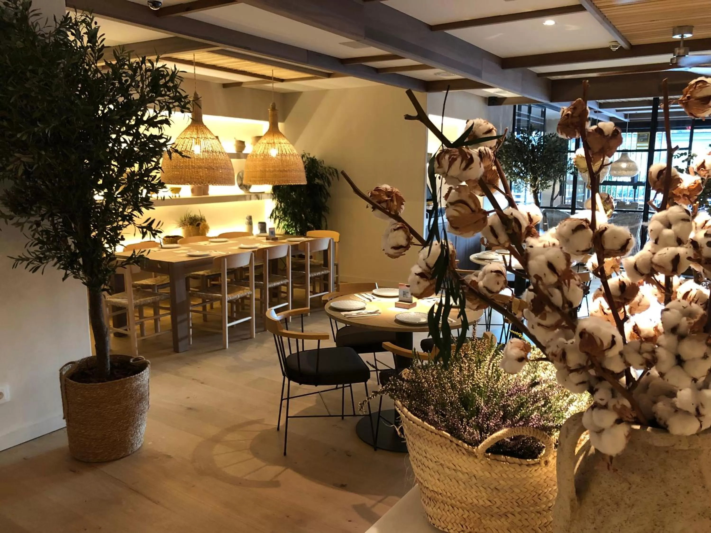 Restaurant/places to eat in Zenit Sevilla