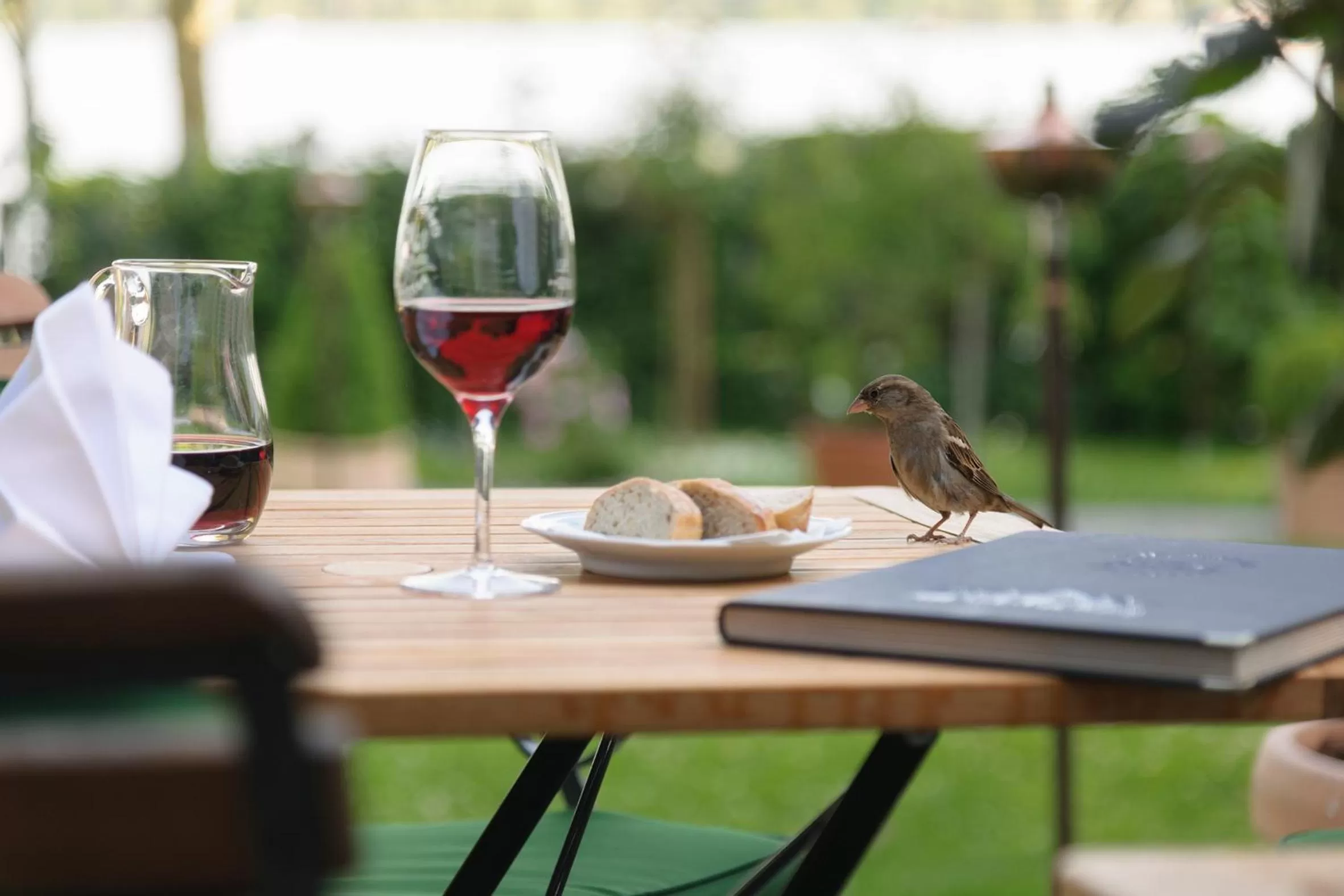 Drinks in Hotel Barleben am See