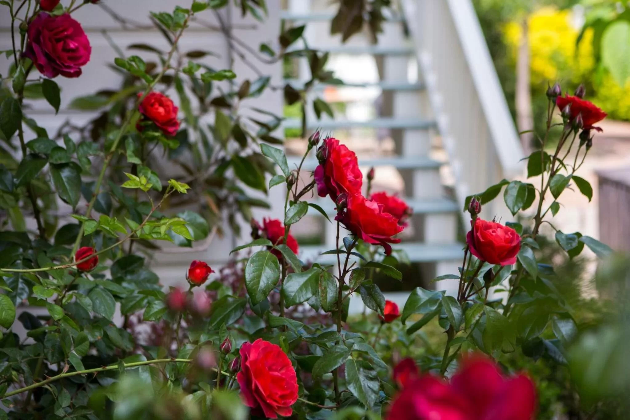 Spring in Tallman Hotel