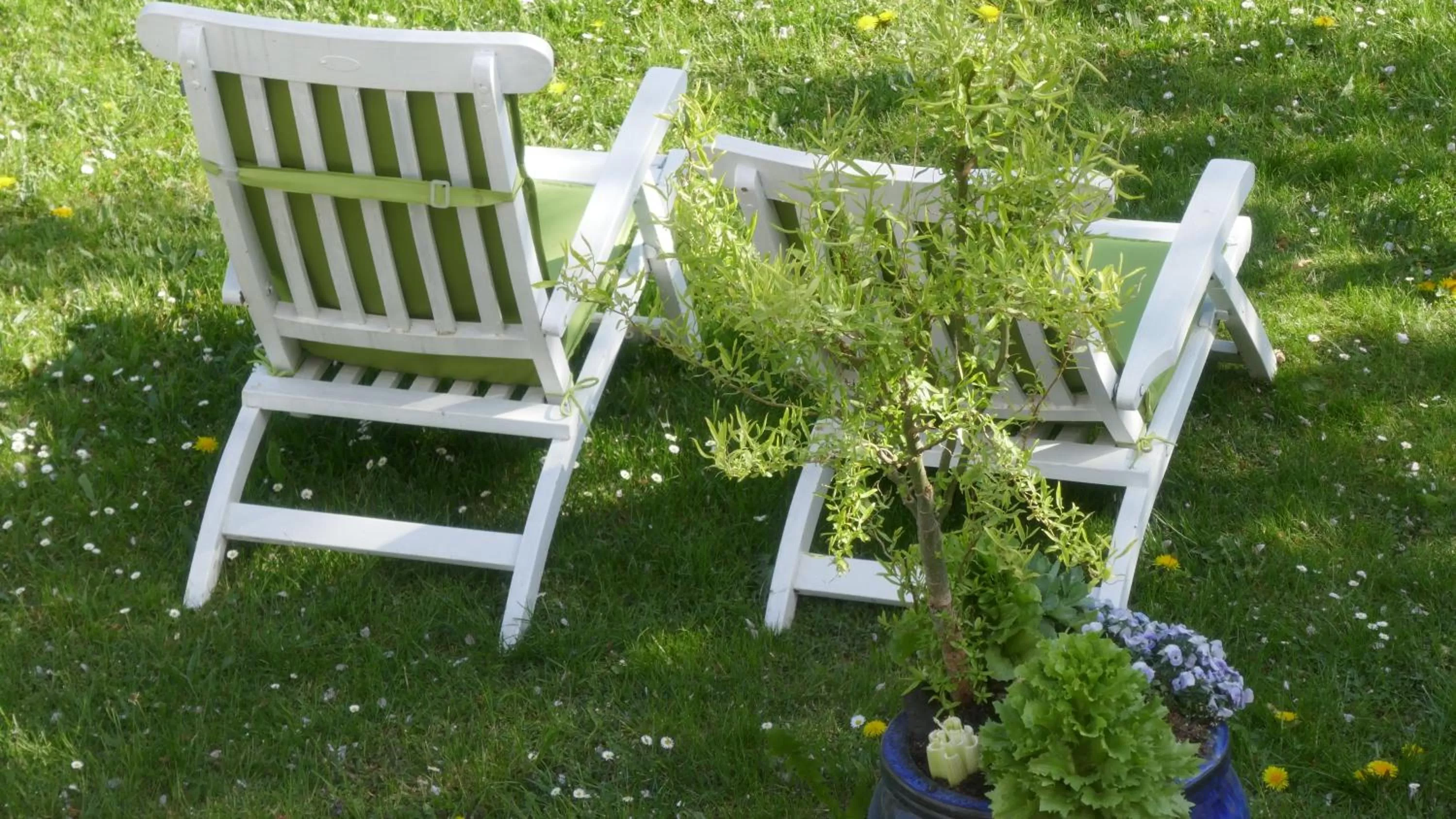 Garden in Bed and Breakfast Bavaria München