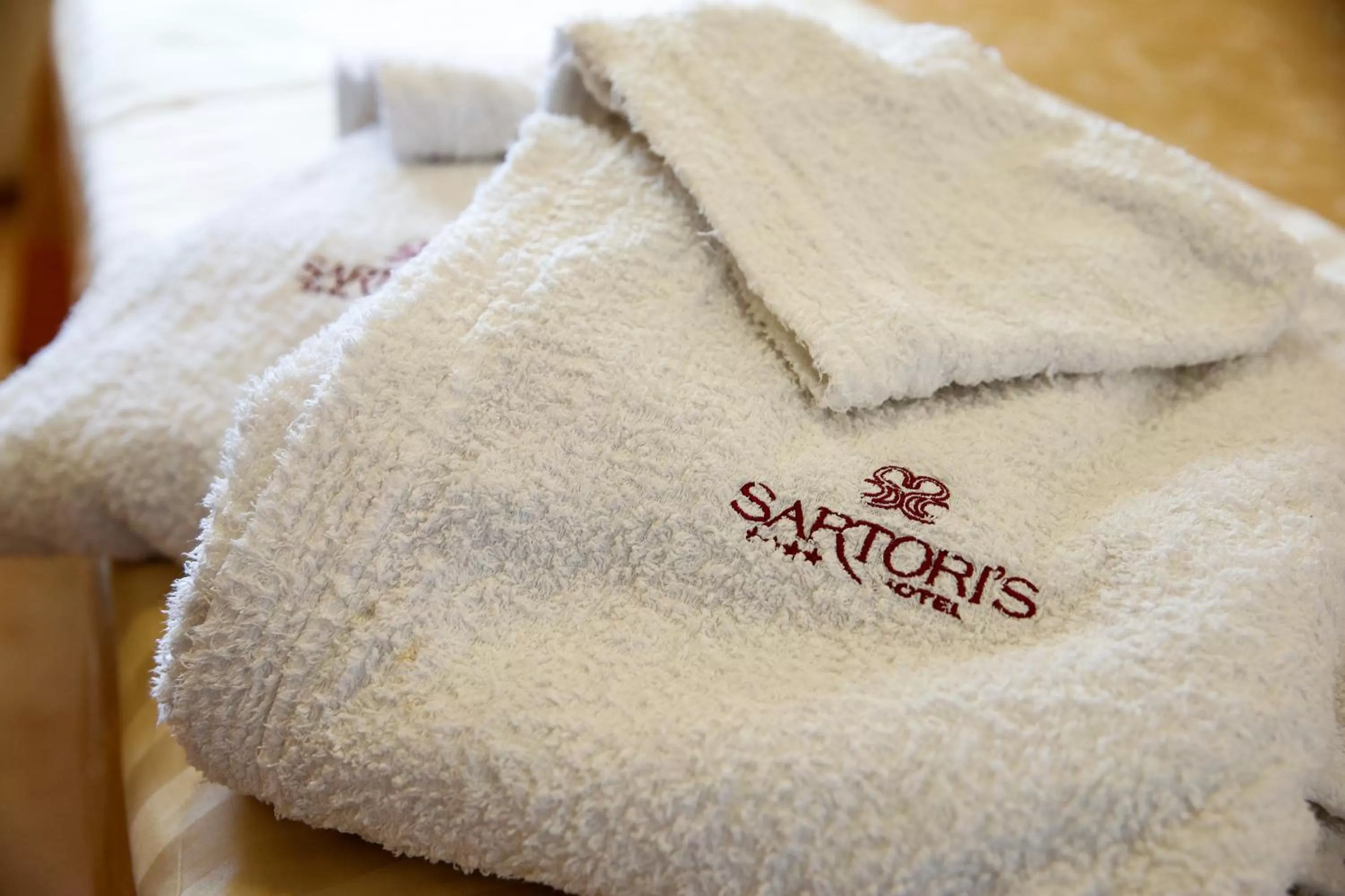 Decorative detail in Sartori's Hotel