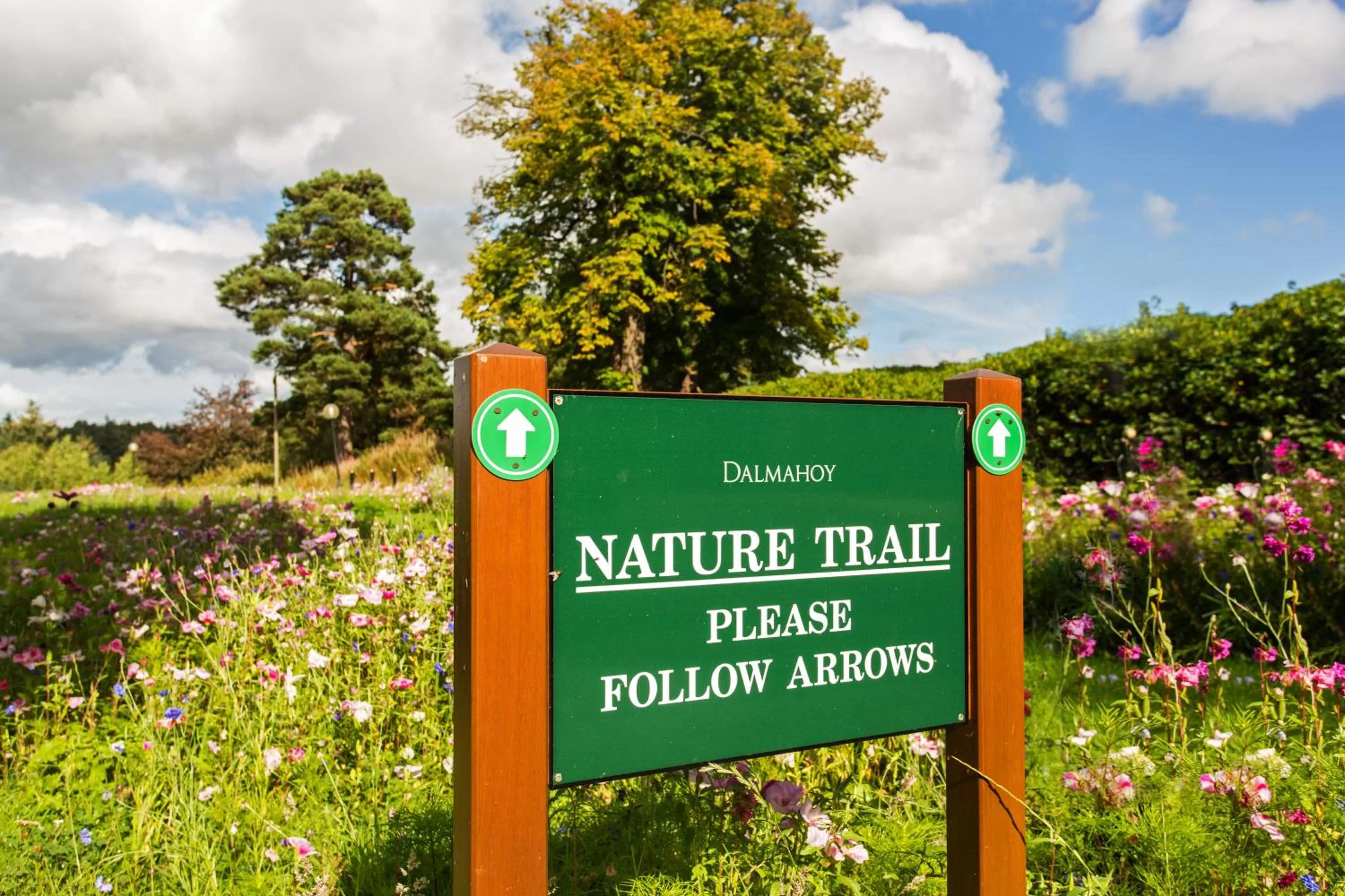 Area and facilities in Dalmahoy Hotel & Country Club