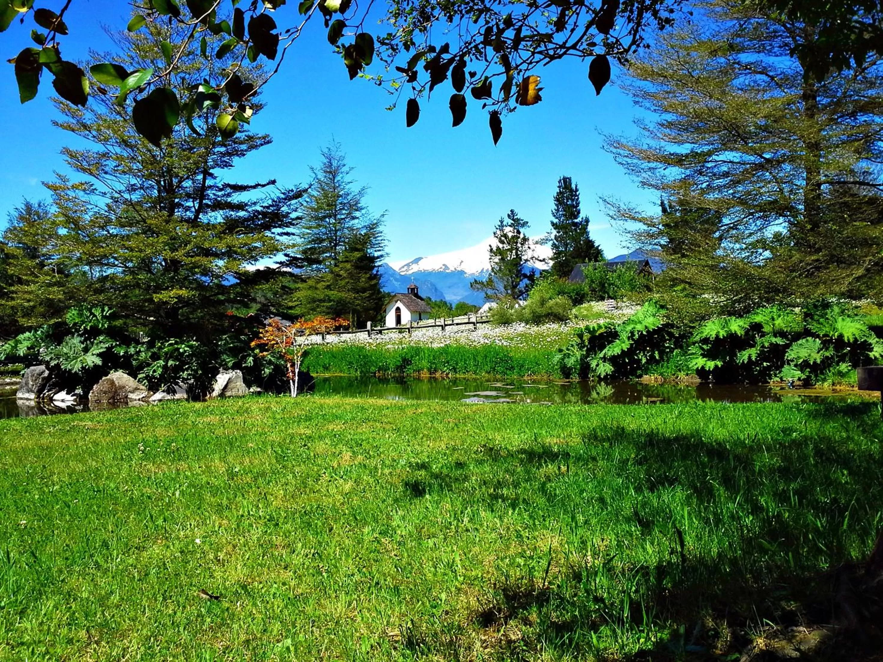 View (from property/room), Garden in Hotel Salto del Carileufu