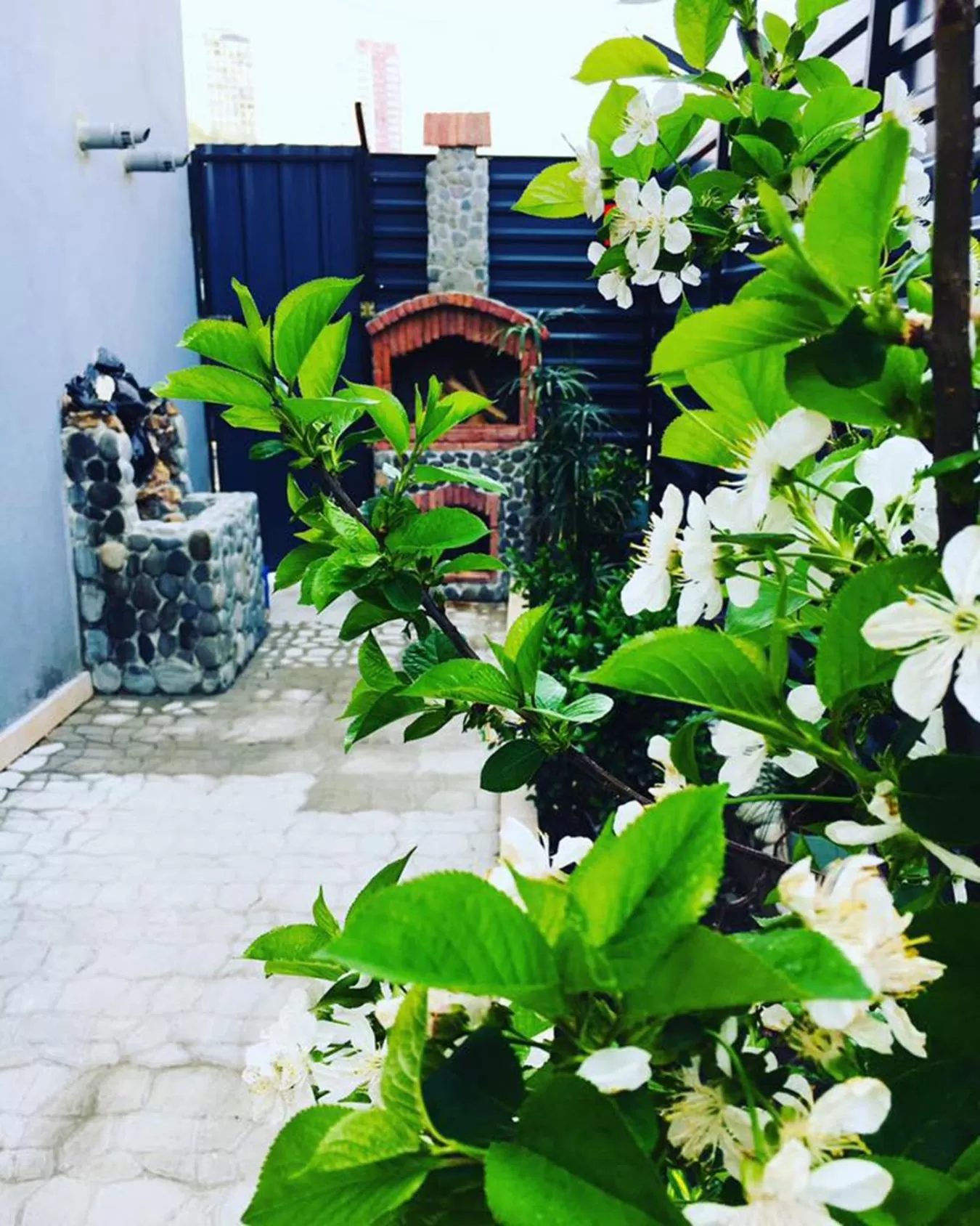 Patio in Hotel Nabadi