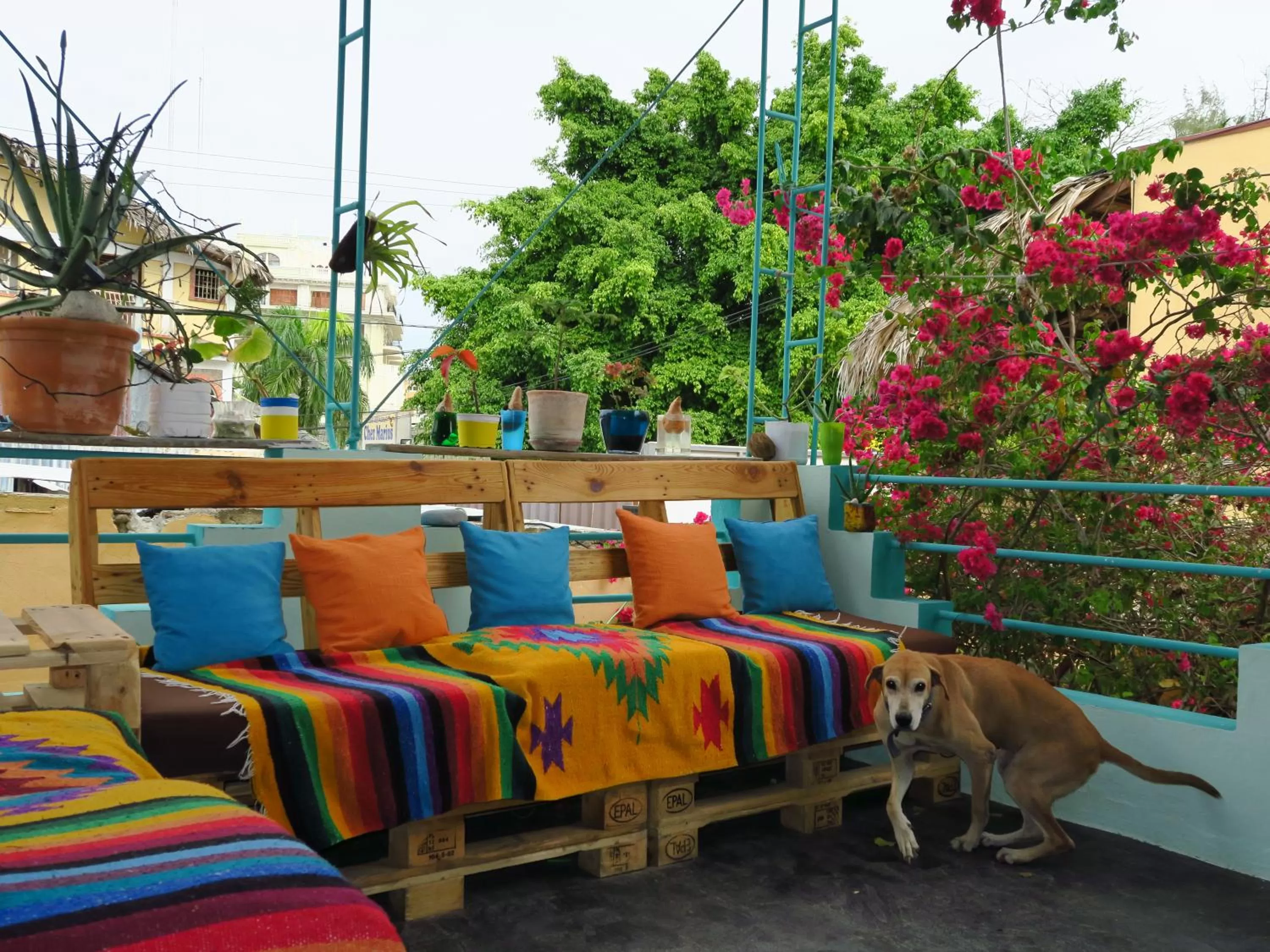 Day in Hotel Club Rolling Stone