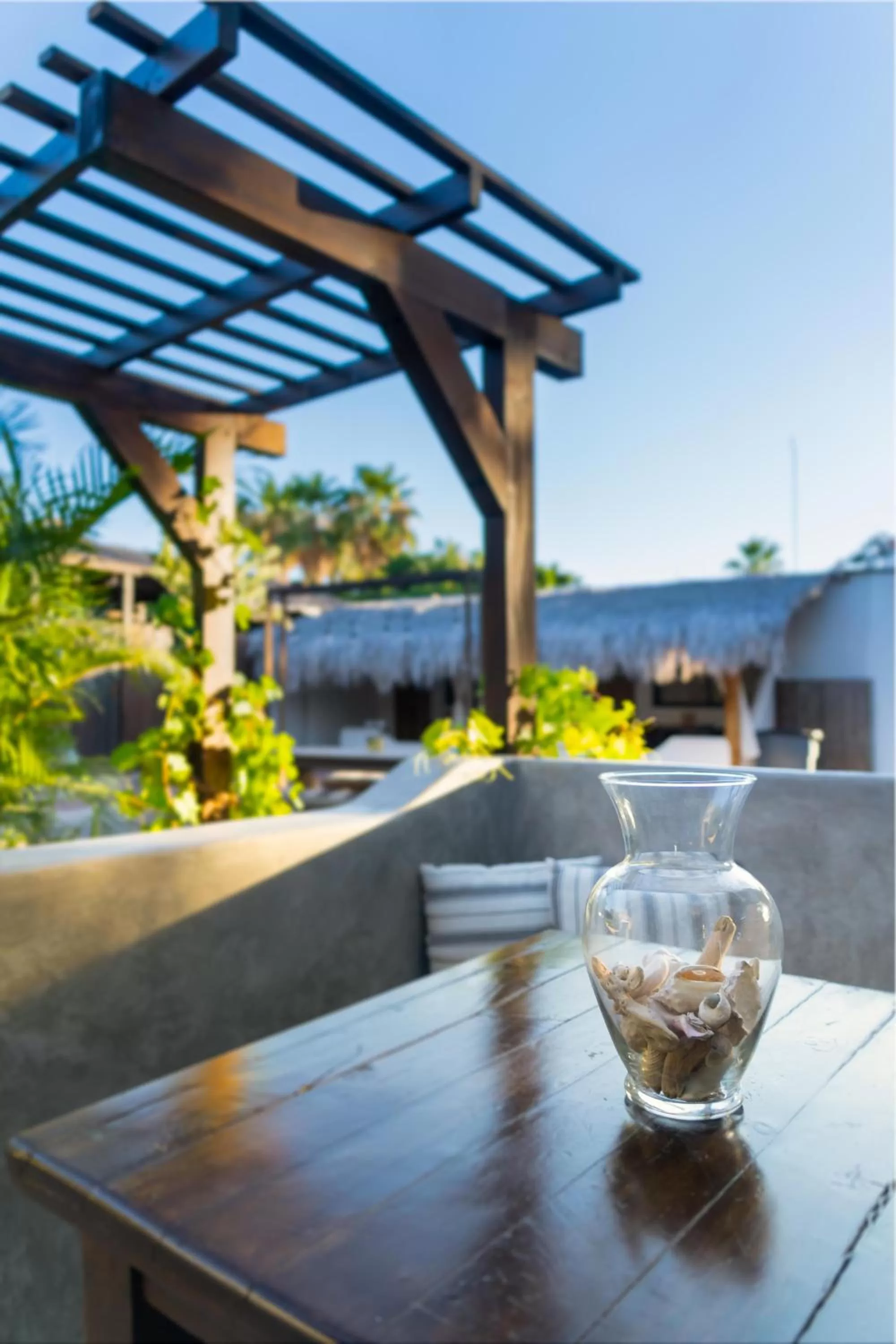 Patio in Hotel 1697 Loreto