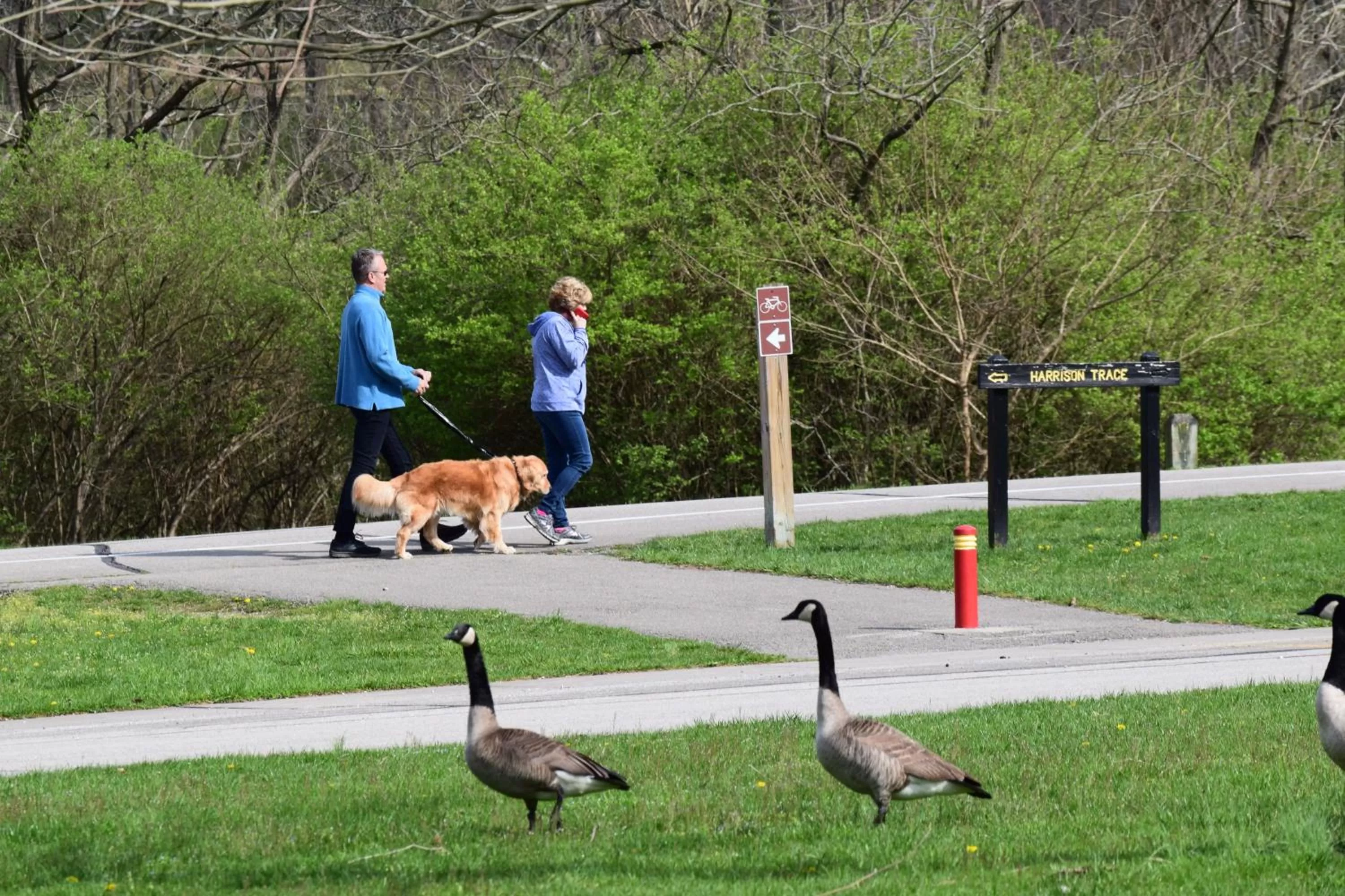 Hiking in Fort Harrison State Park Inn
