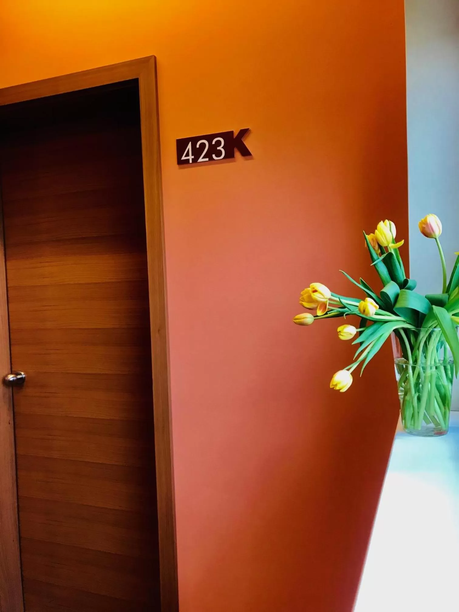 Property building in Hotel Kras