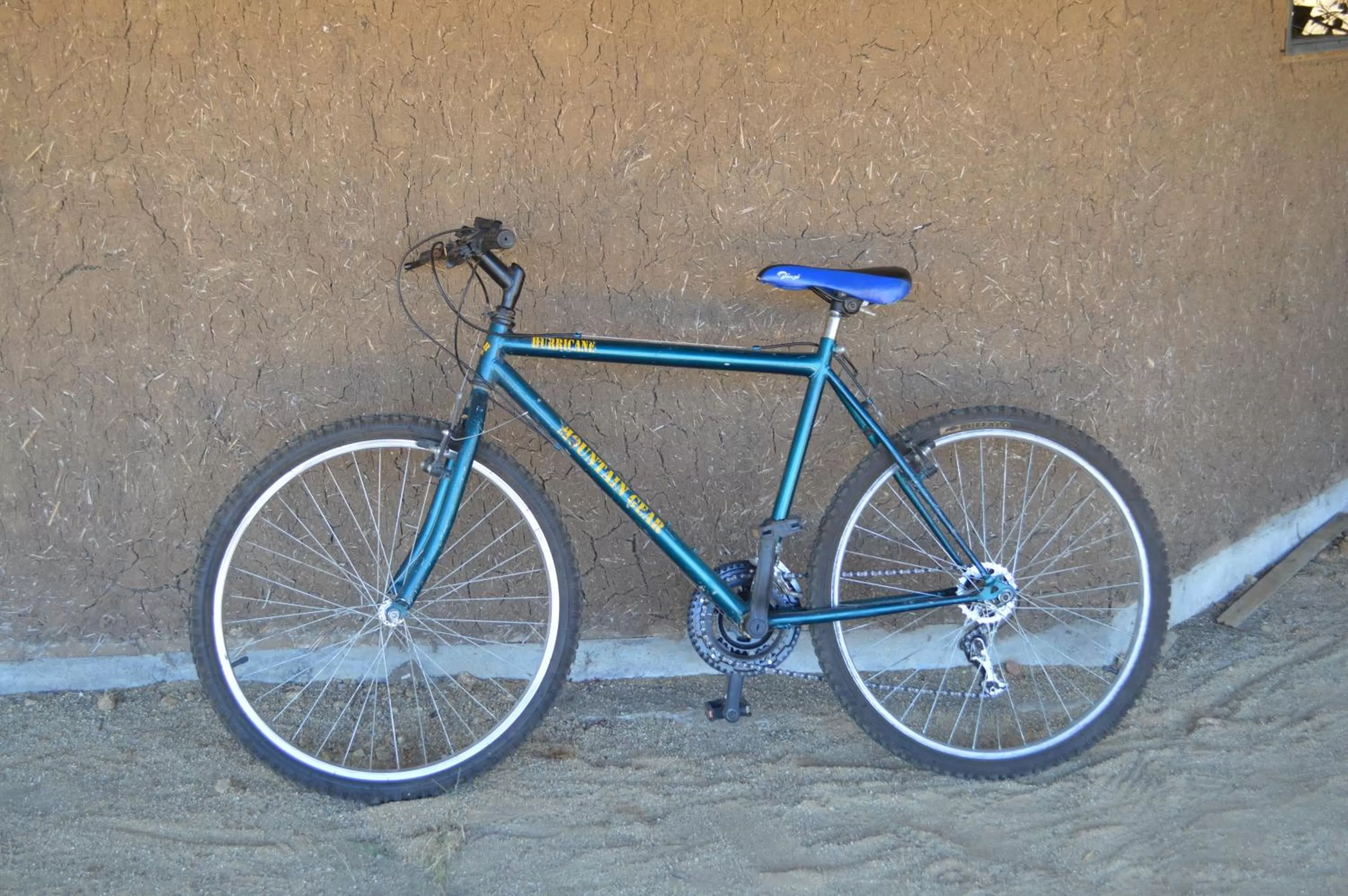 Other Activities in Coyunche Cabañas y Camping Laja & San Rosendo