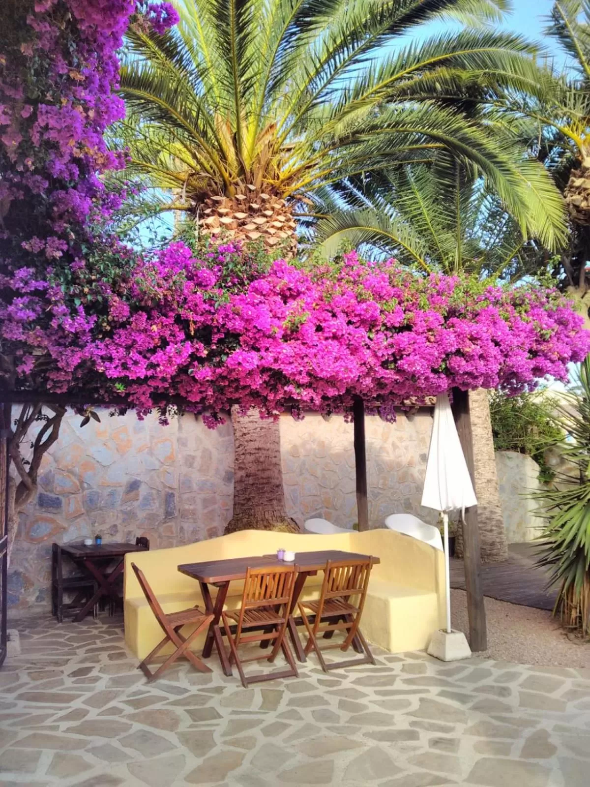 Patio in Hotel Montemar