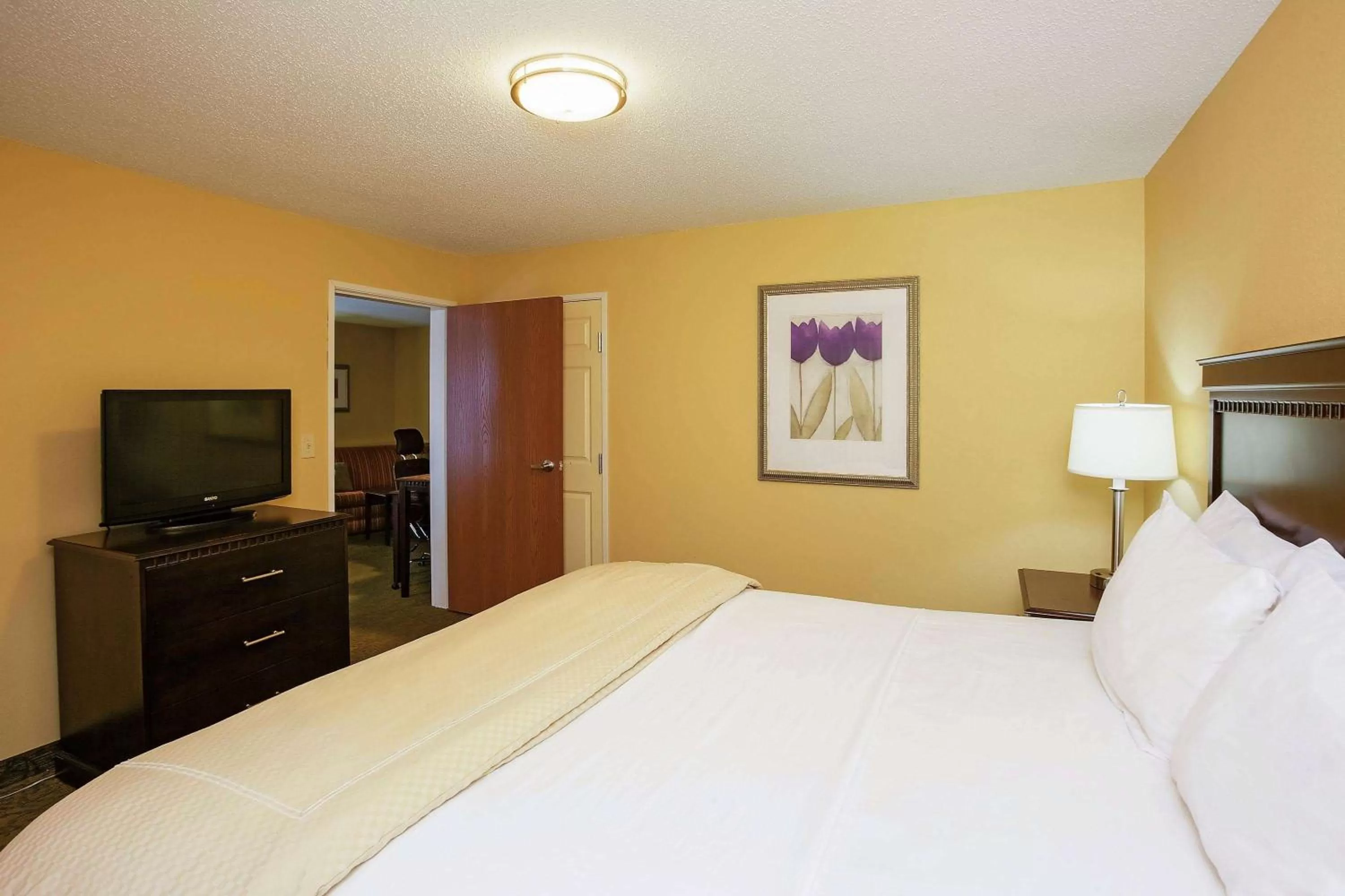 Photo of the whole room, Bed in La Quinta by Wyndham Richmond - Kings Dominion