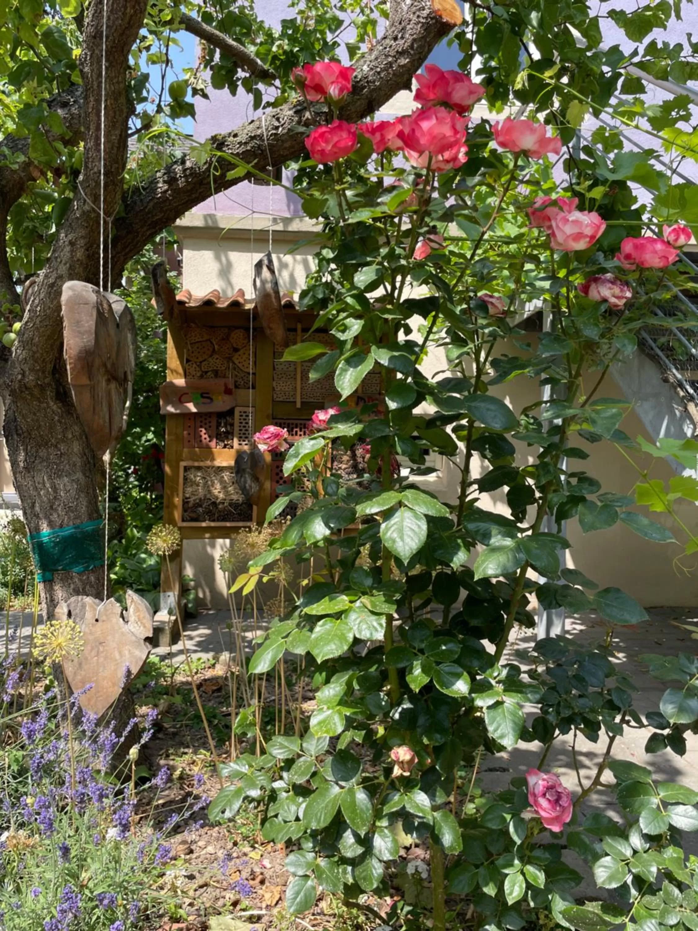 Patio in Jugendstil-Hof