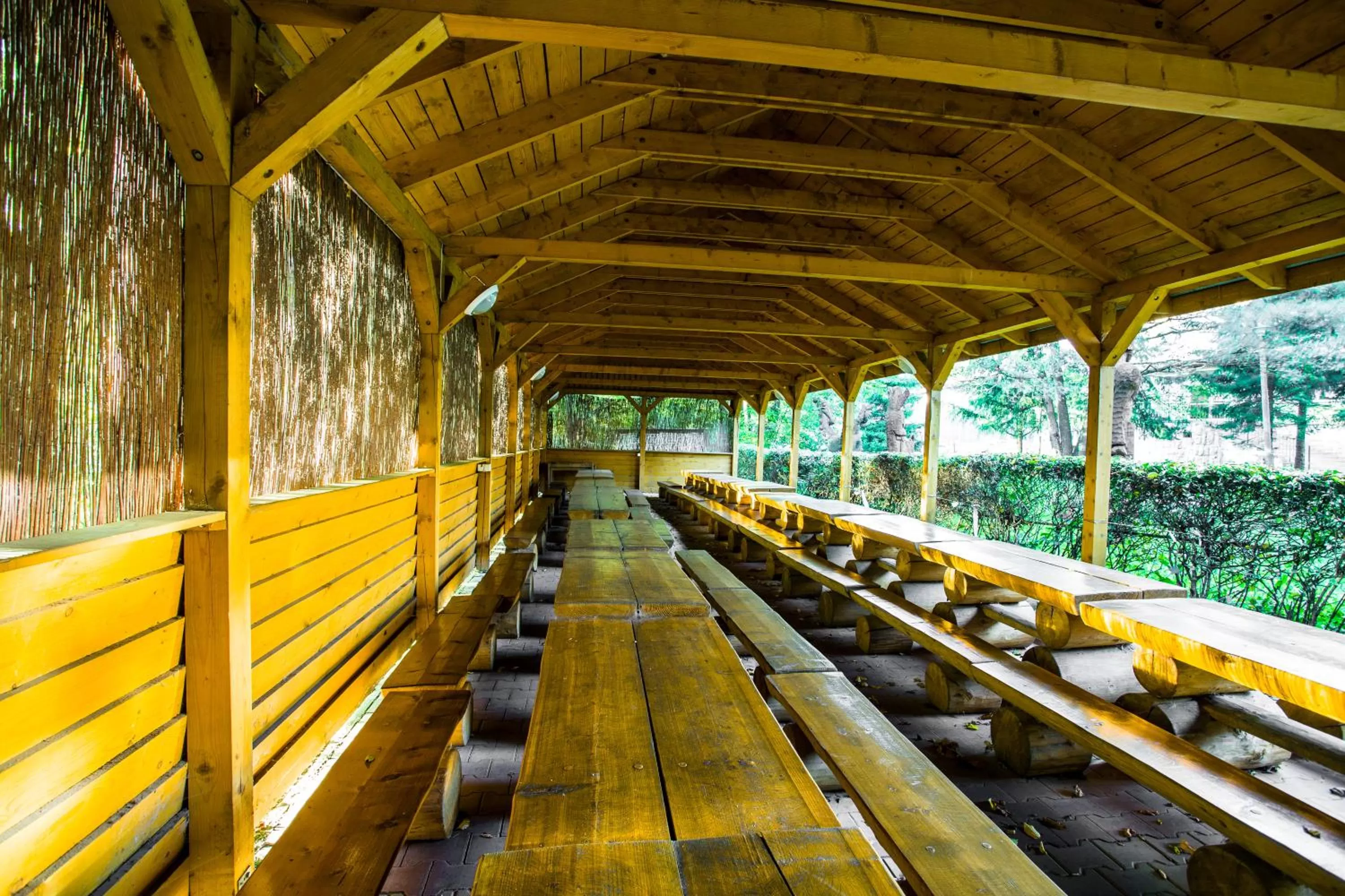 Other in Hotel *** NAT Ustroń