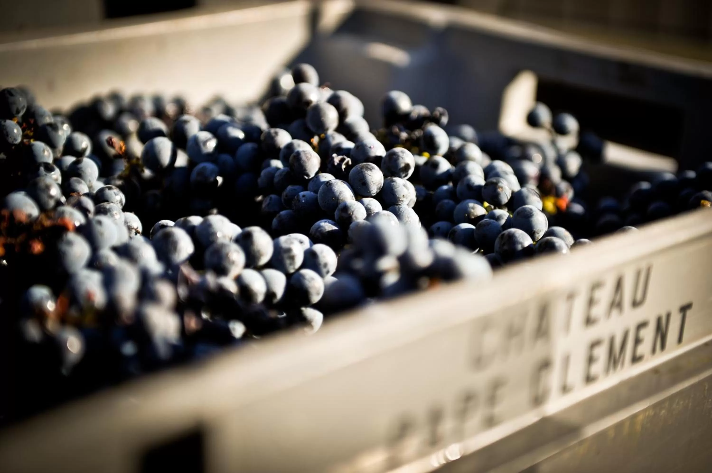 Other in Château Pape Clément