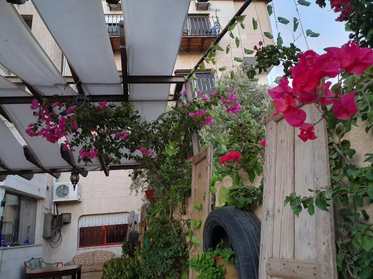 Garden in Salome Hotel