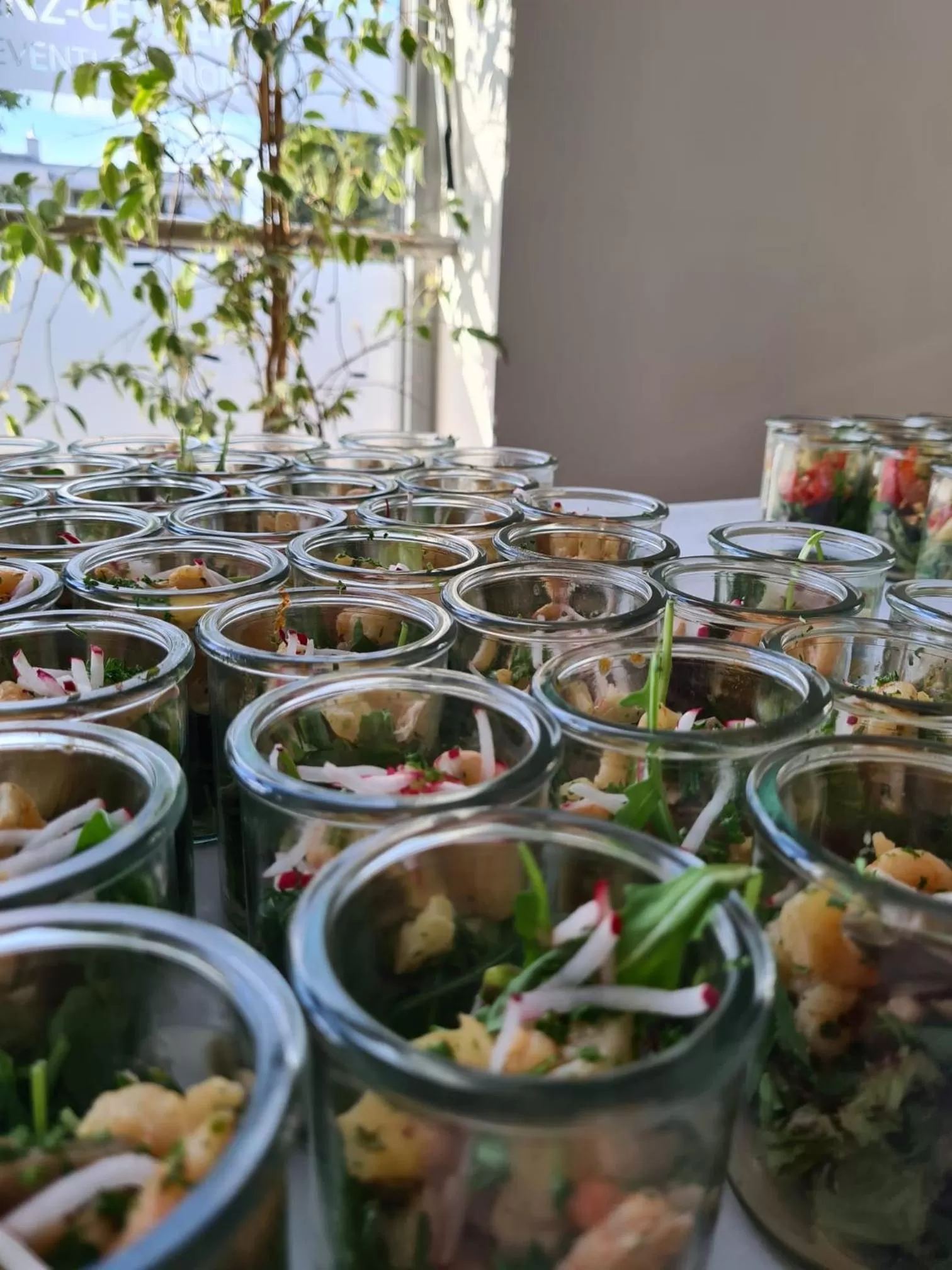 Hotel Am Wintergarten