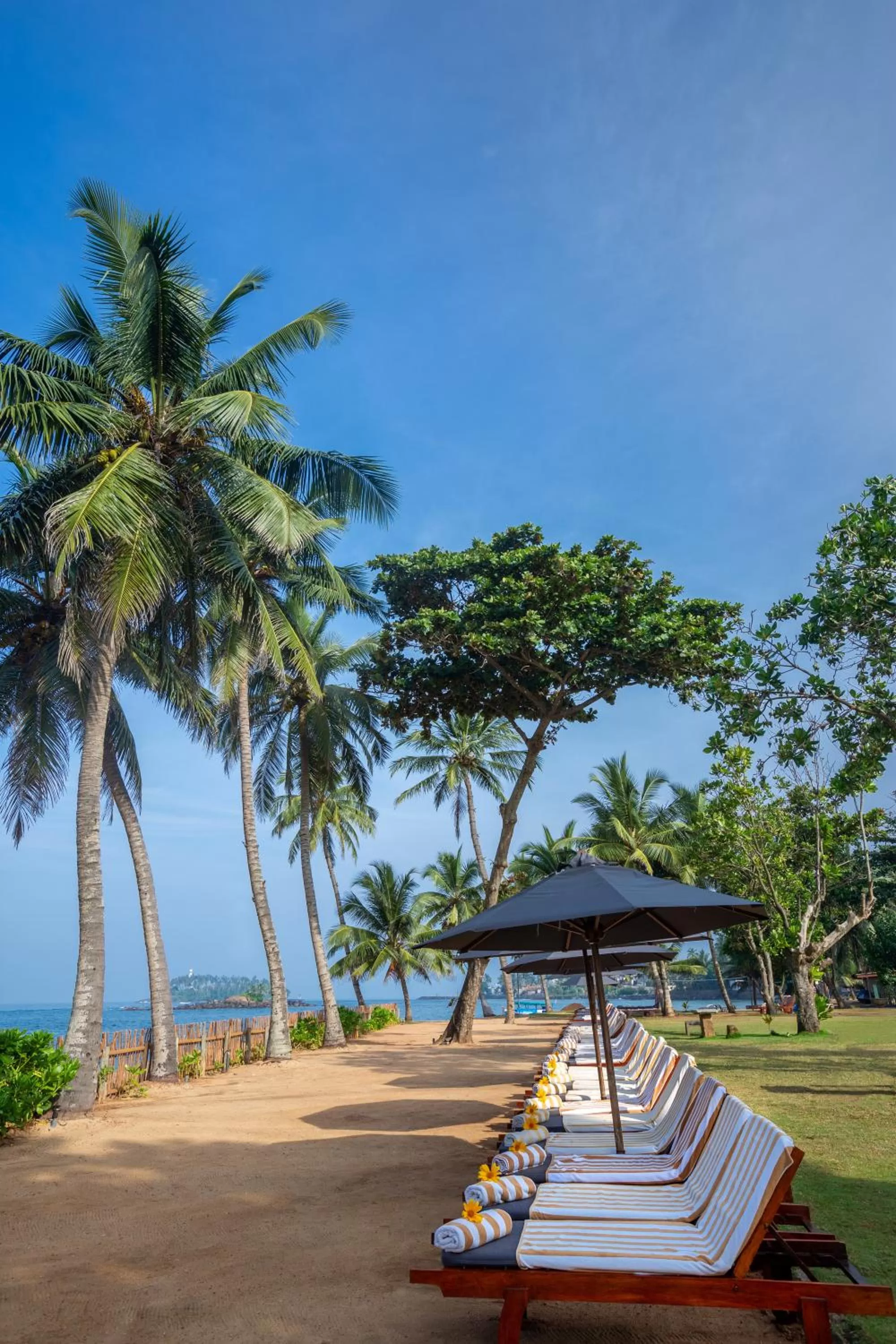 Beach in Earl's Reef
