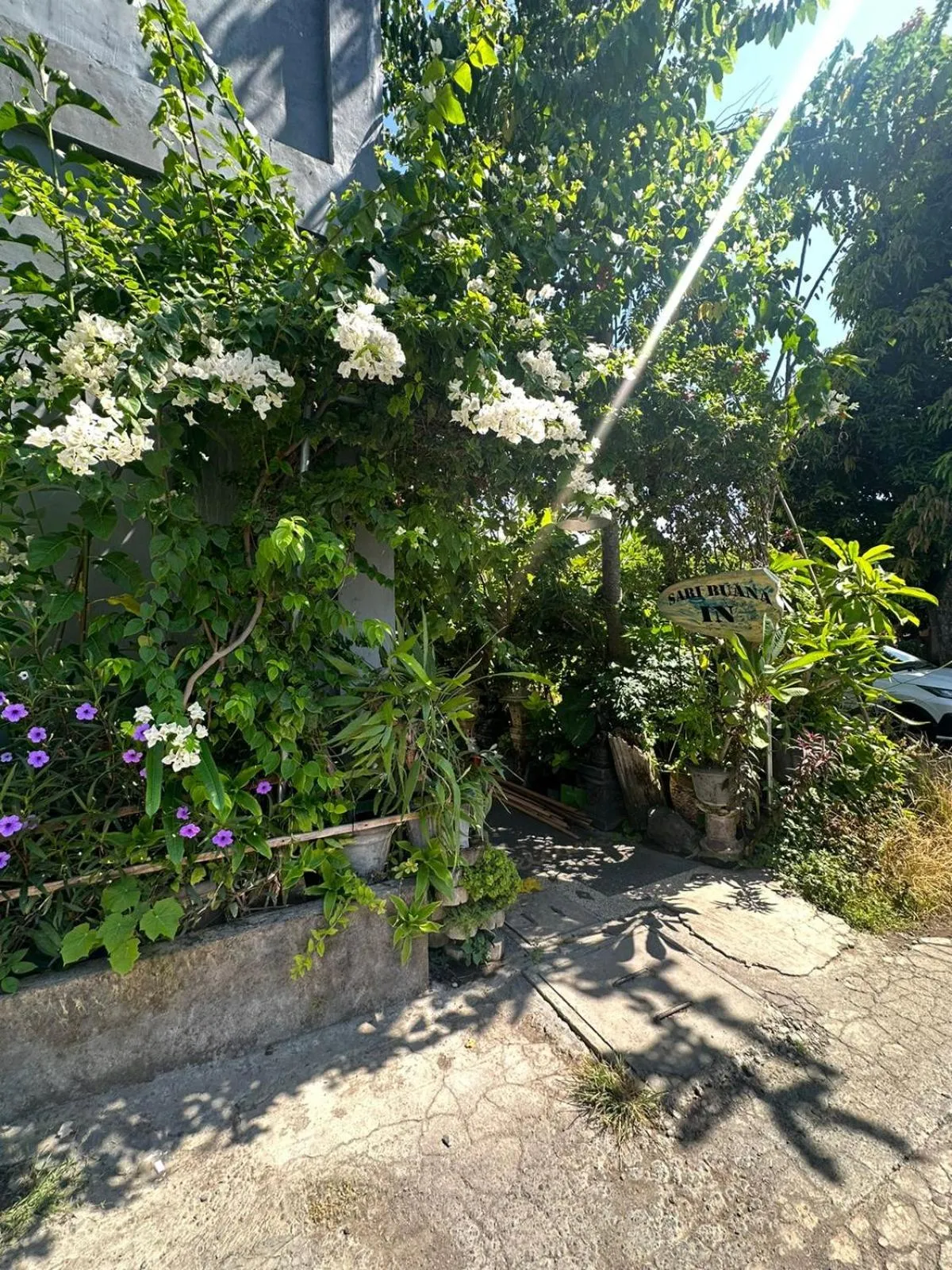 Garden view in Sari Buana Bed & Breakfast