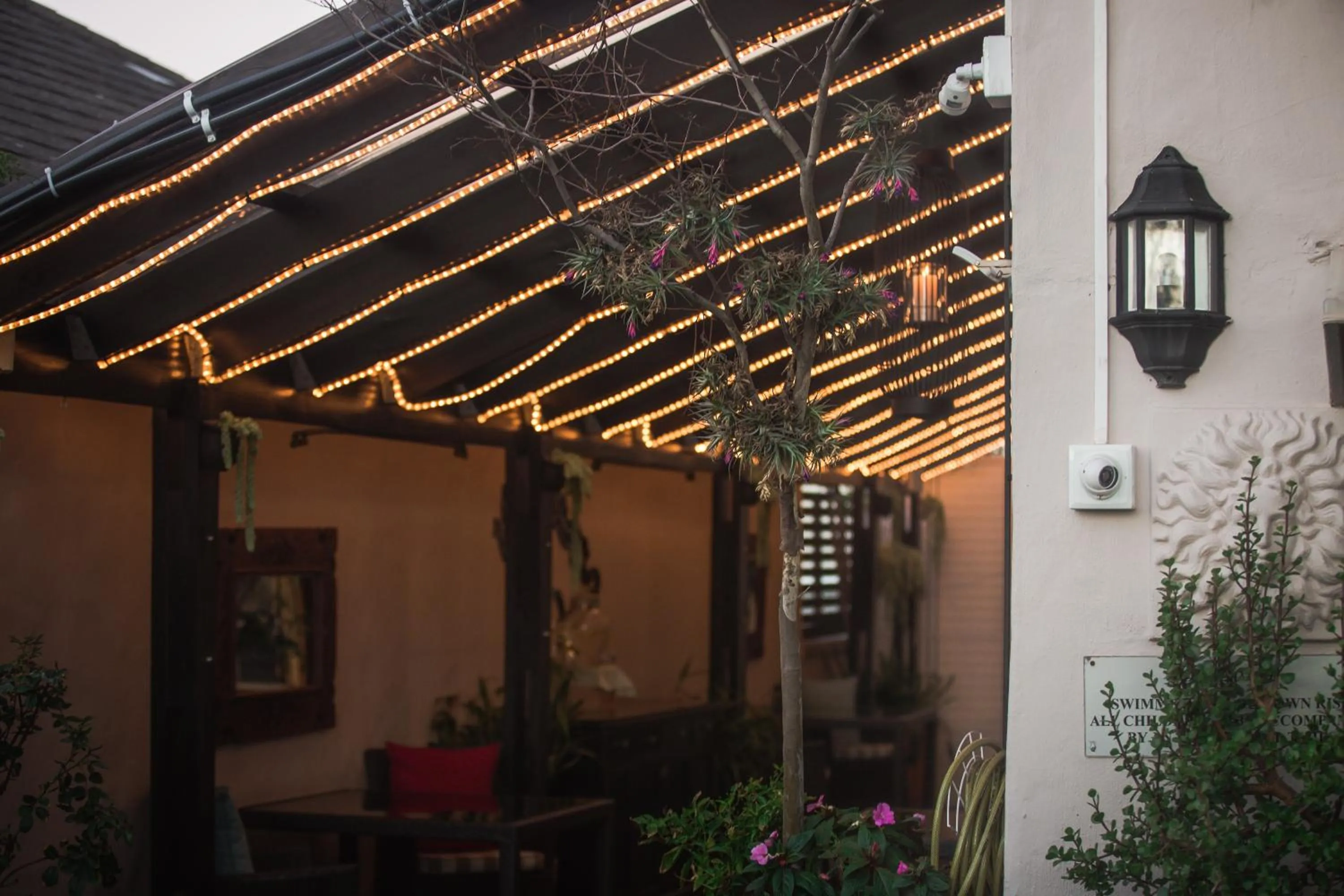 Patio in Point B Guest House -Sustainable Solar Energy