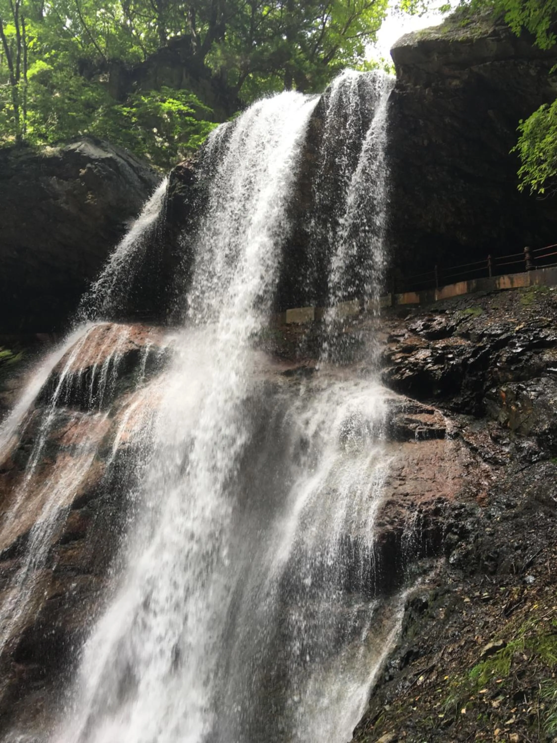 Natural landscape in Ryokan Warabino