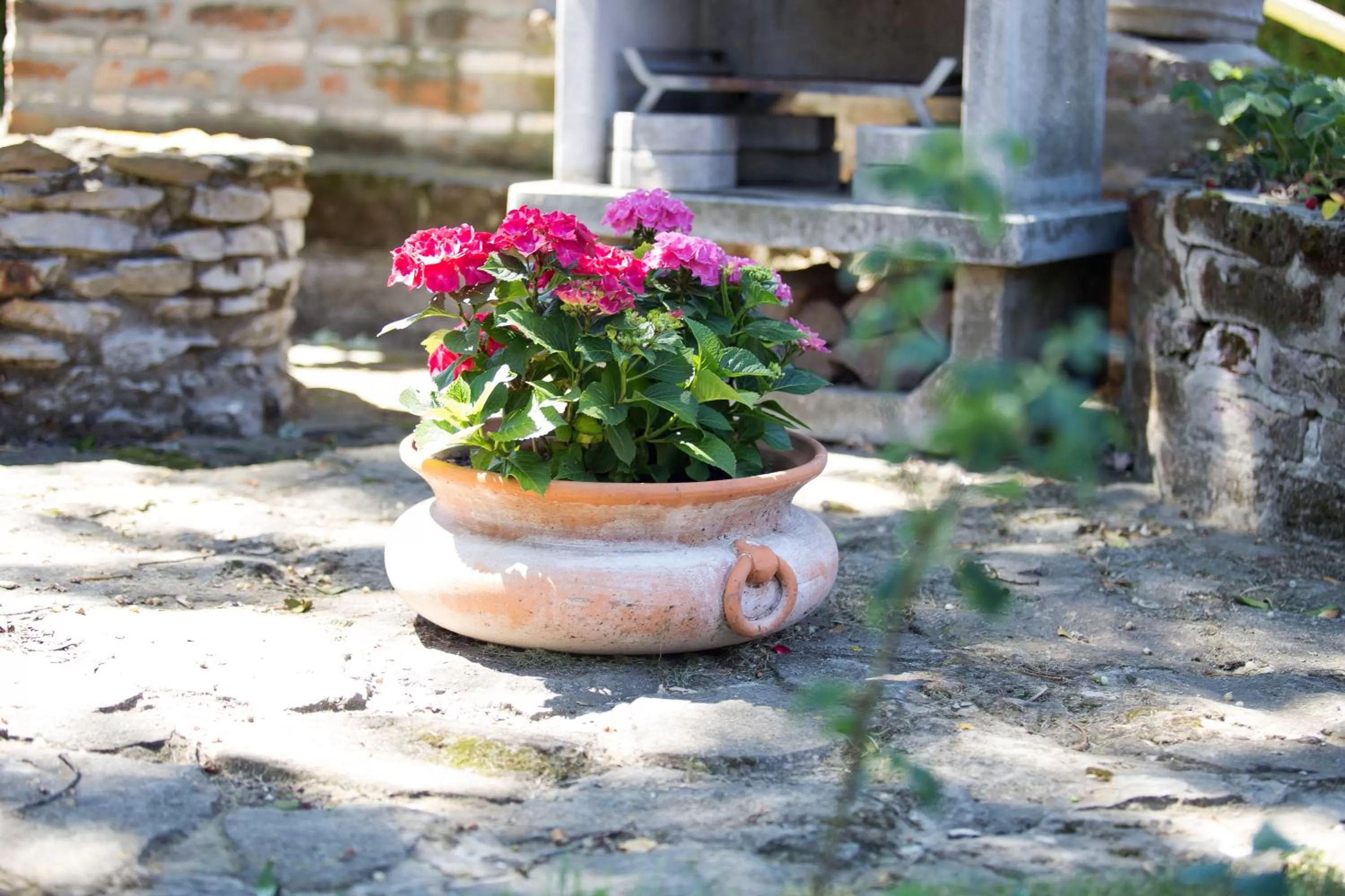 BBQ Facilities in Hotel Zéta