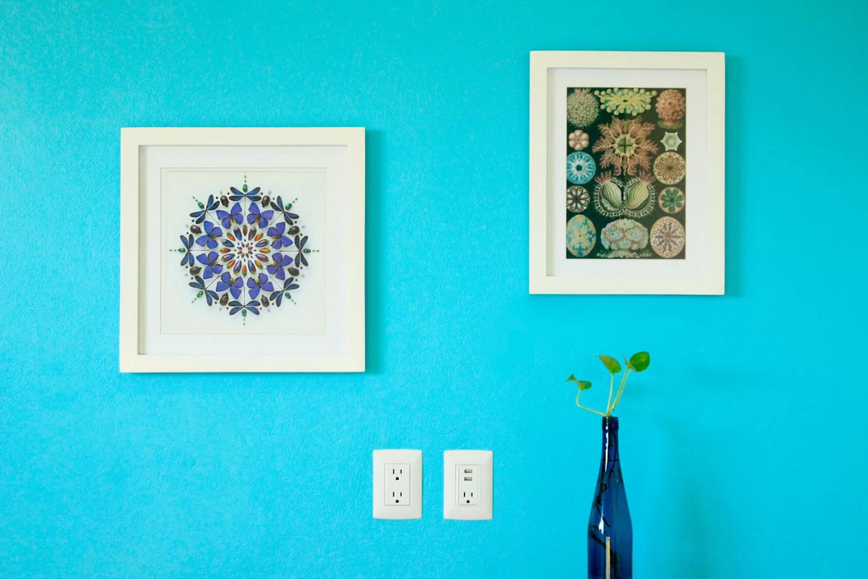 Seating area in La Palmita Budget Boutique Hotel
