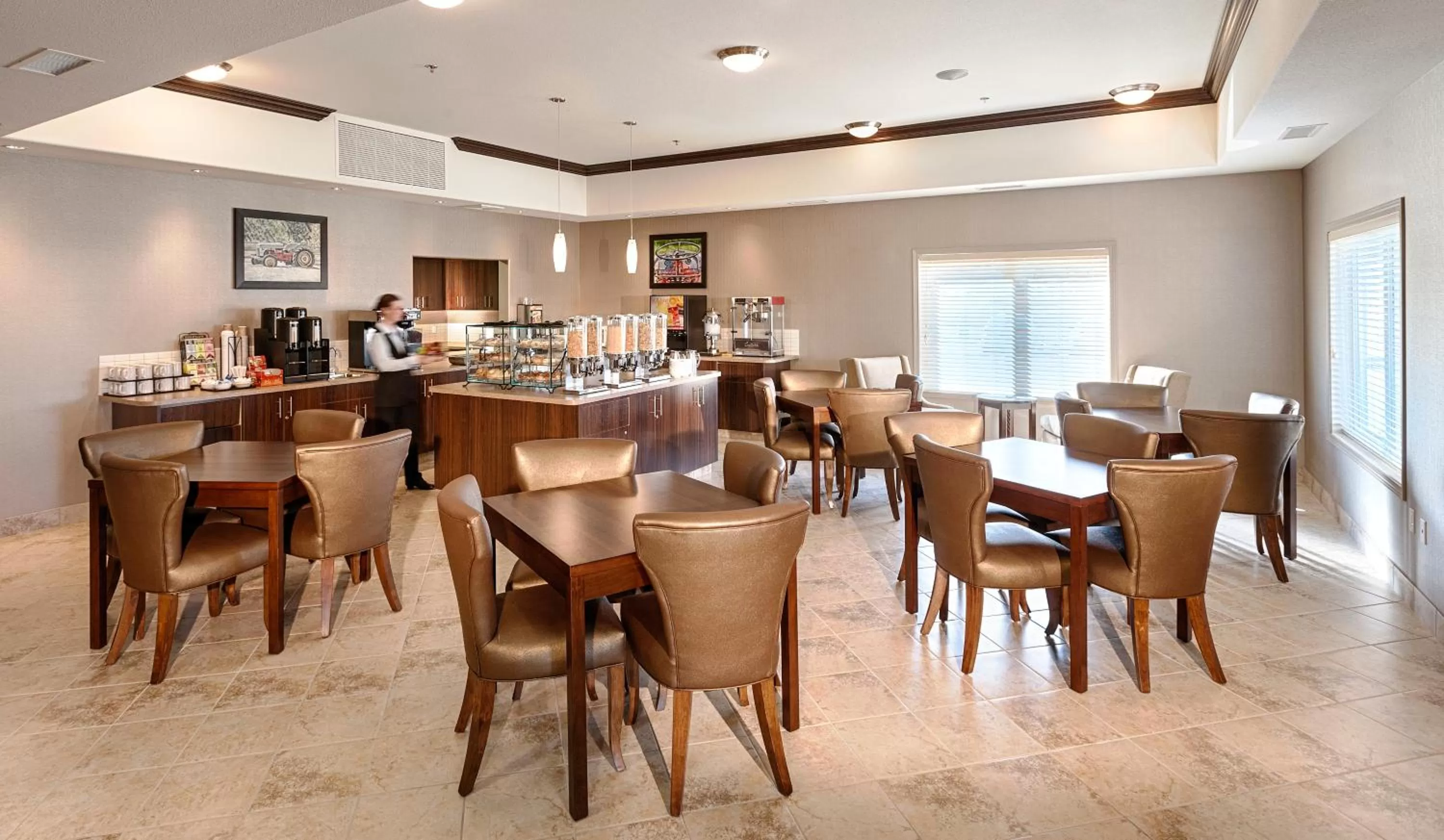 Area and facilities in Canalta Hotel Assiniboia