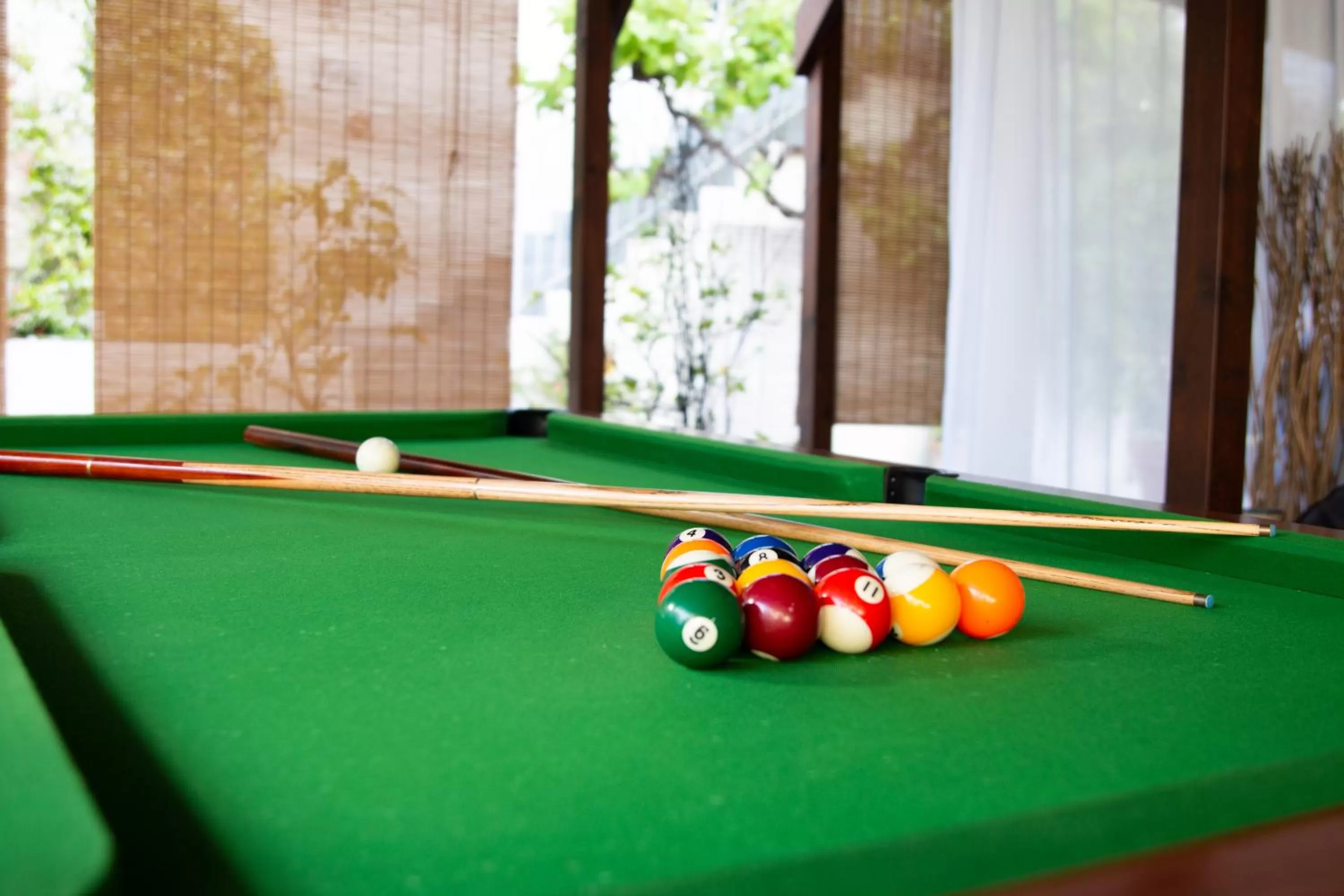 Billiard in La Bastide Gourmande