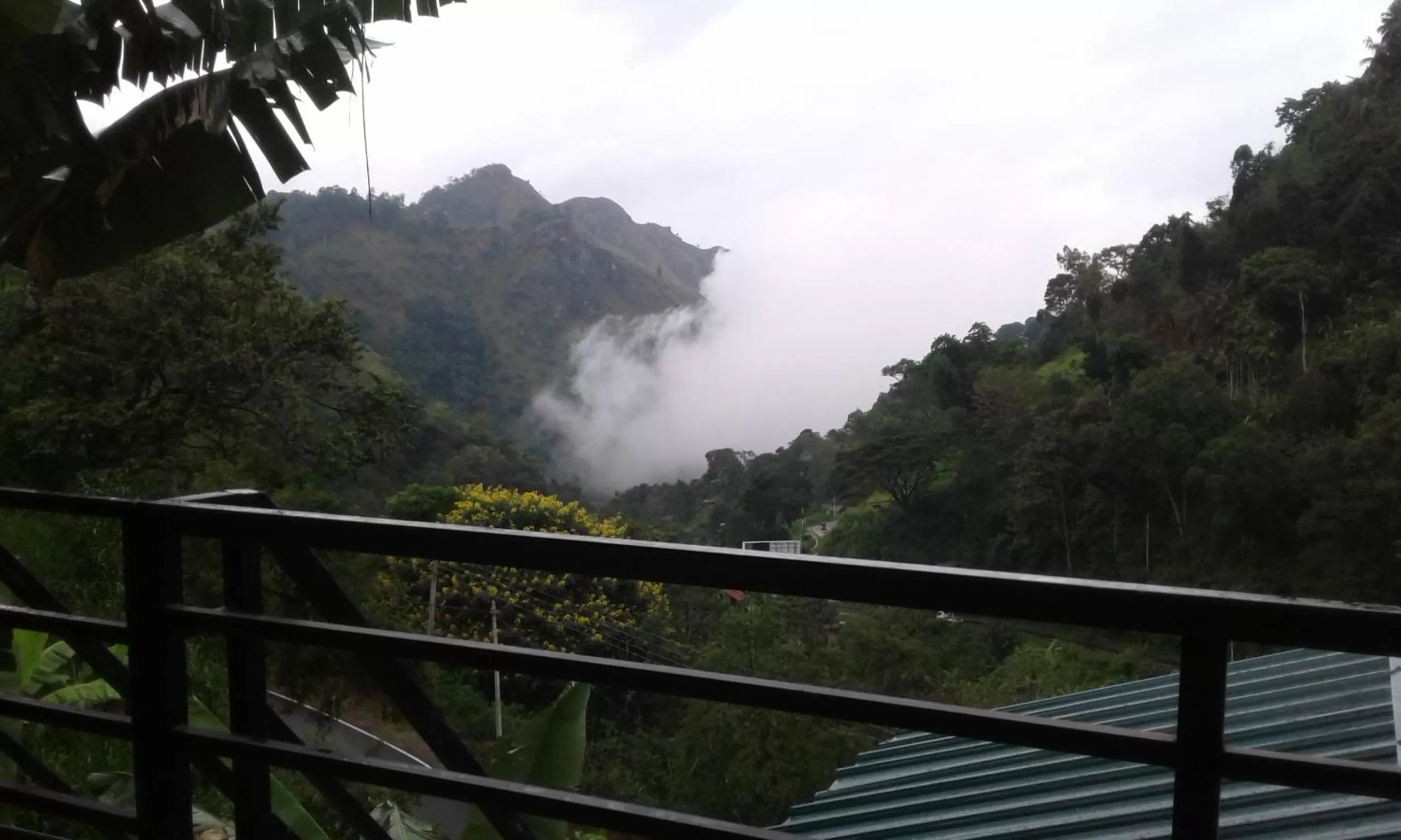 Mountain View in Ella Lucky Panoramic