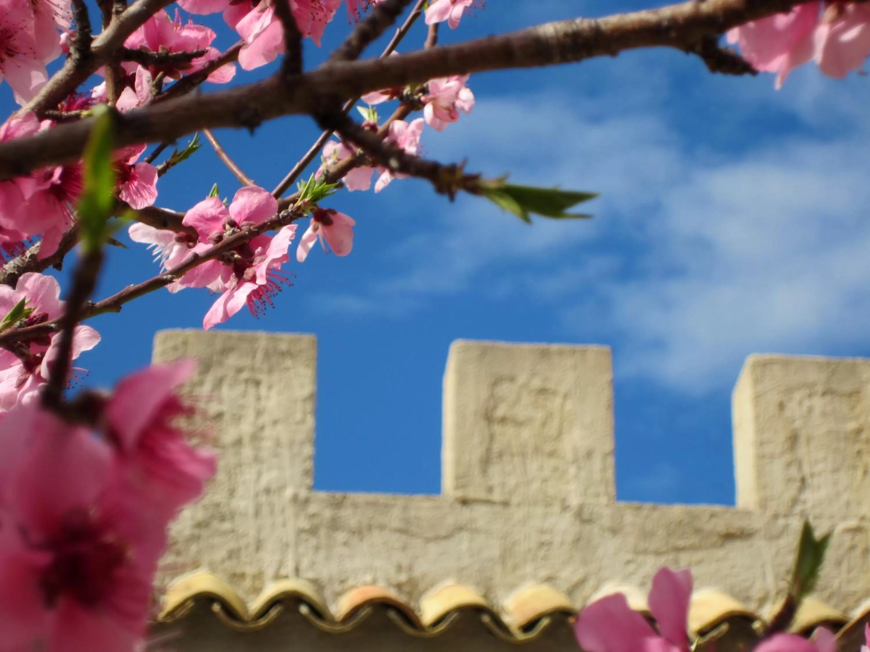 Facade/entrance in Candalù - Villa Giardinata
