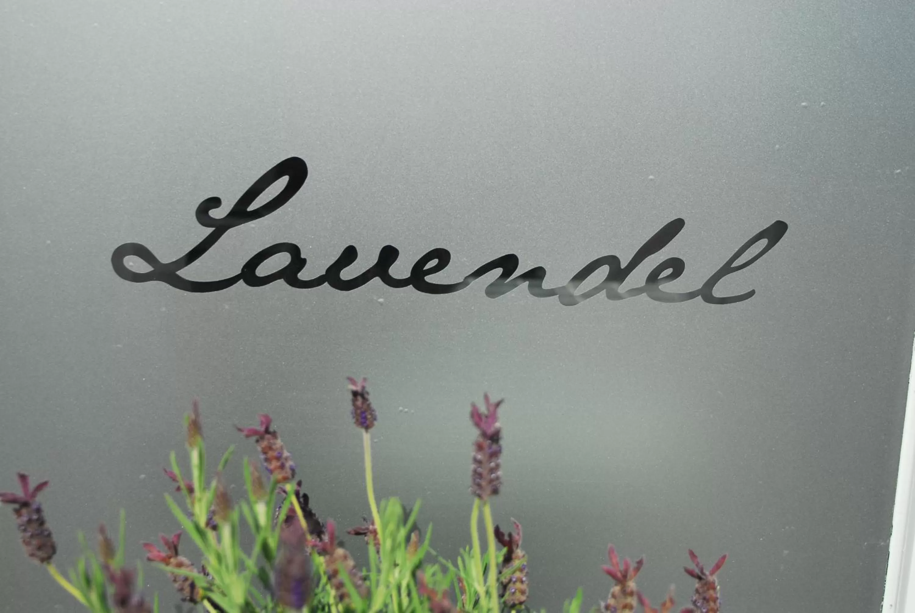 B&B Het Schaliënhof