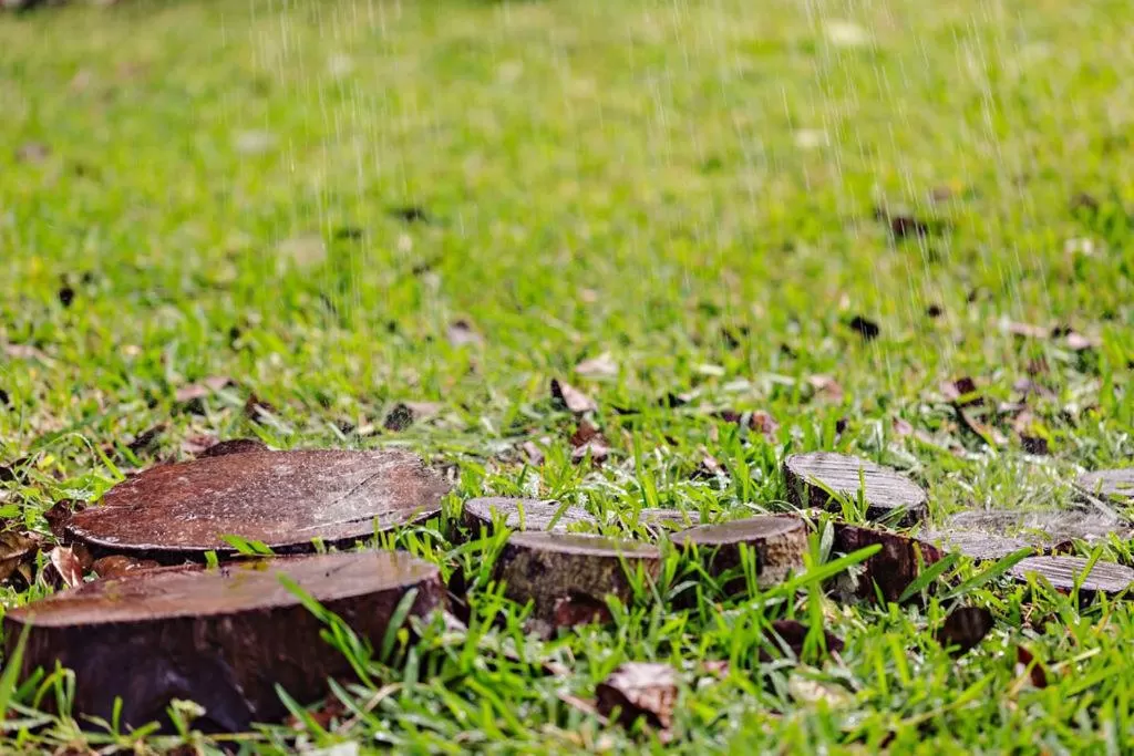 Garden in Mi Kasa Tu Kasa Bacalar