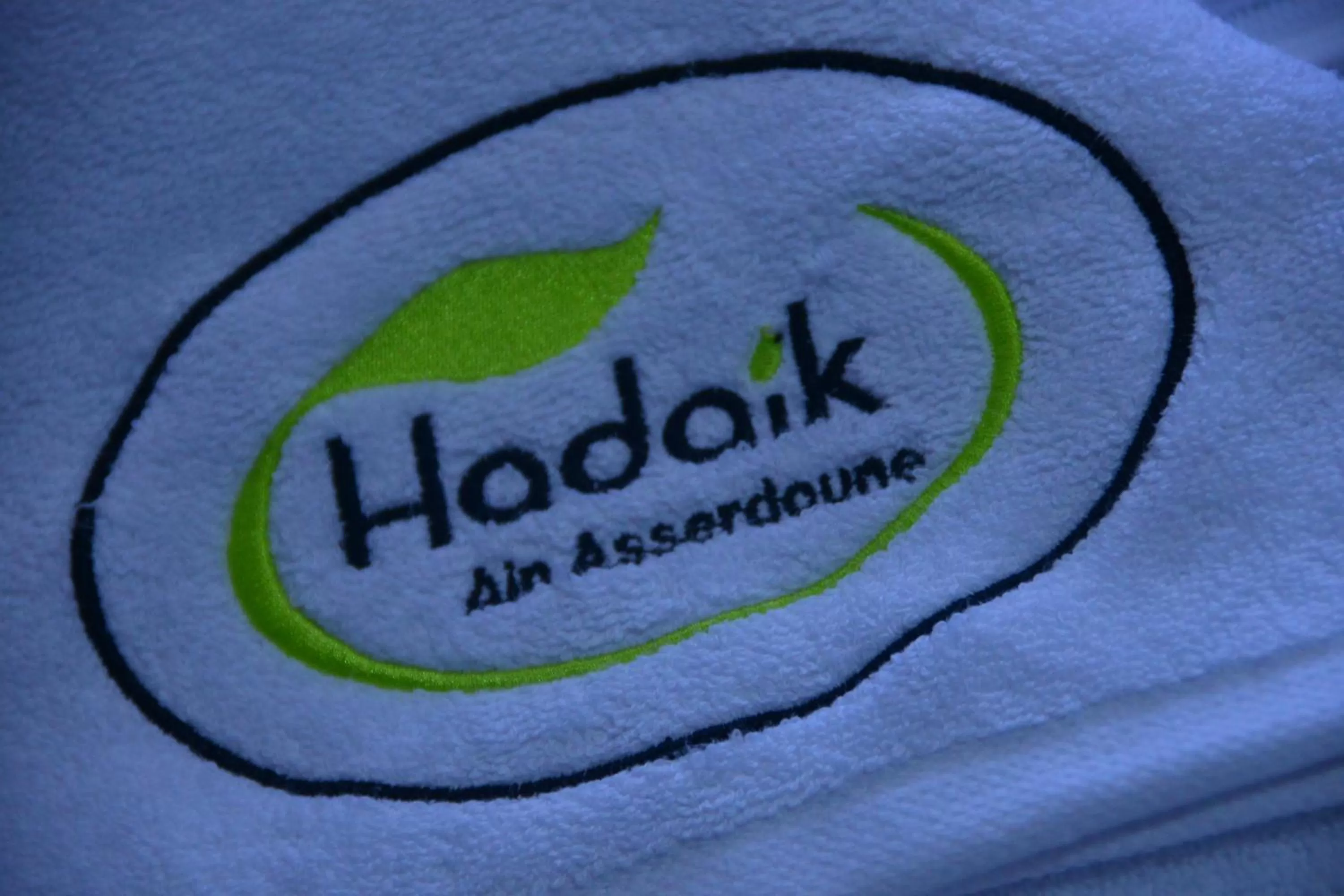 Hôtel Hadaik Ain Asserdoune