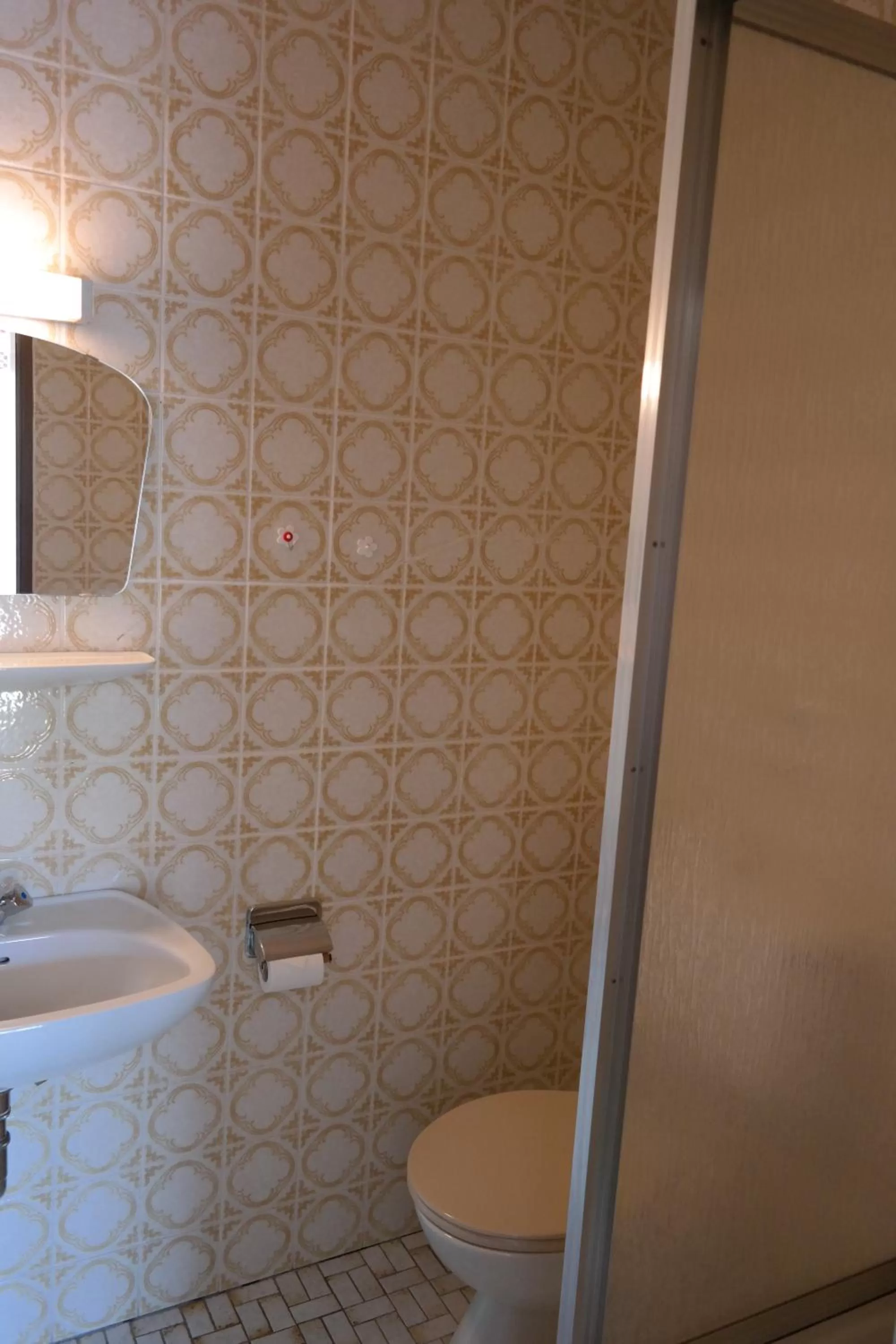 Shower in Herzog's Ulsterbrücke Garni Hotel