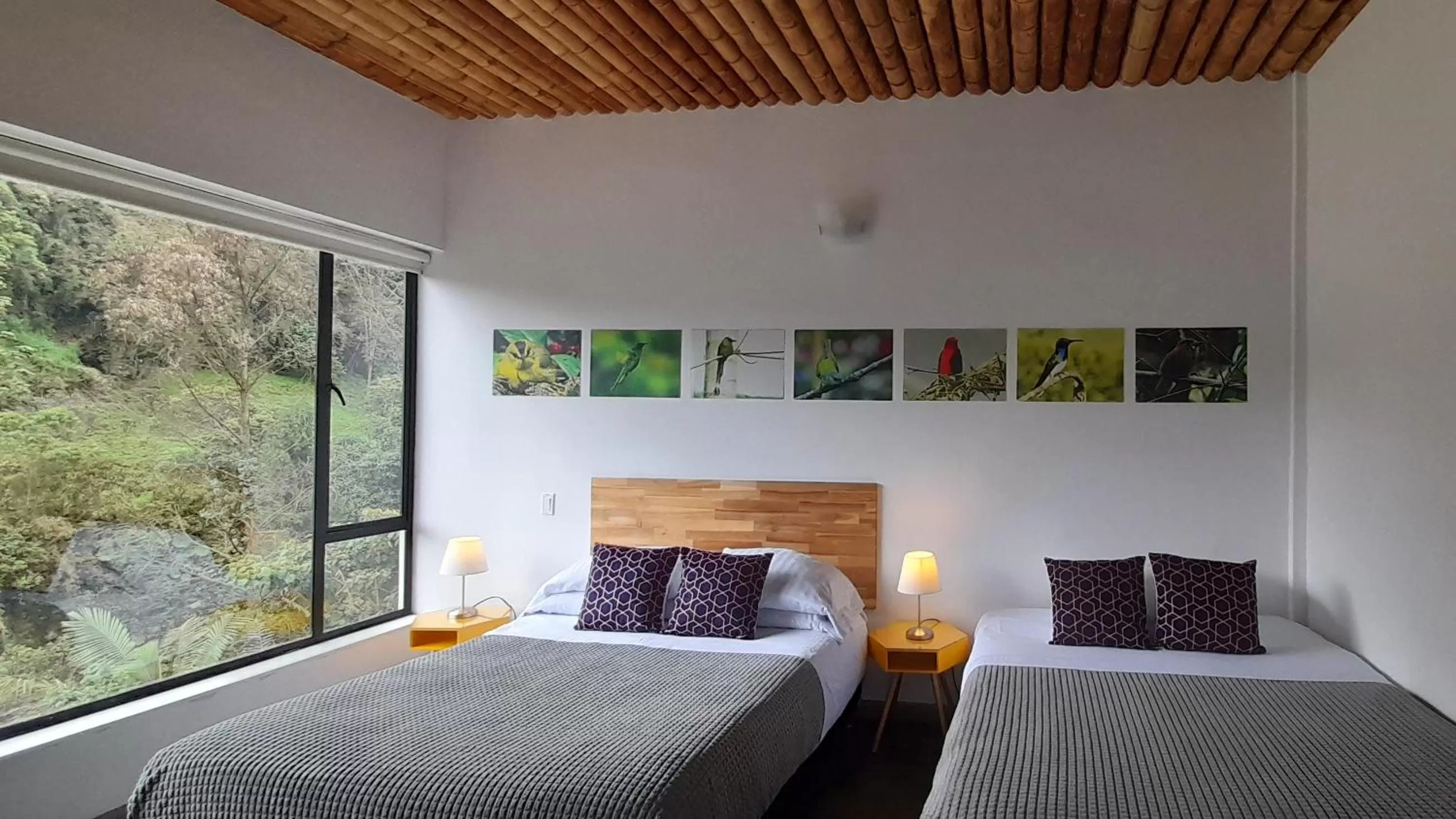 Bed in Hotel Termales Tierra Viva