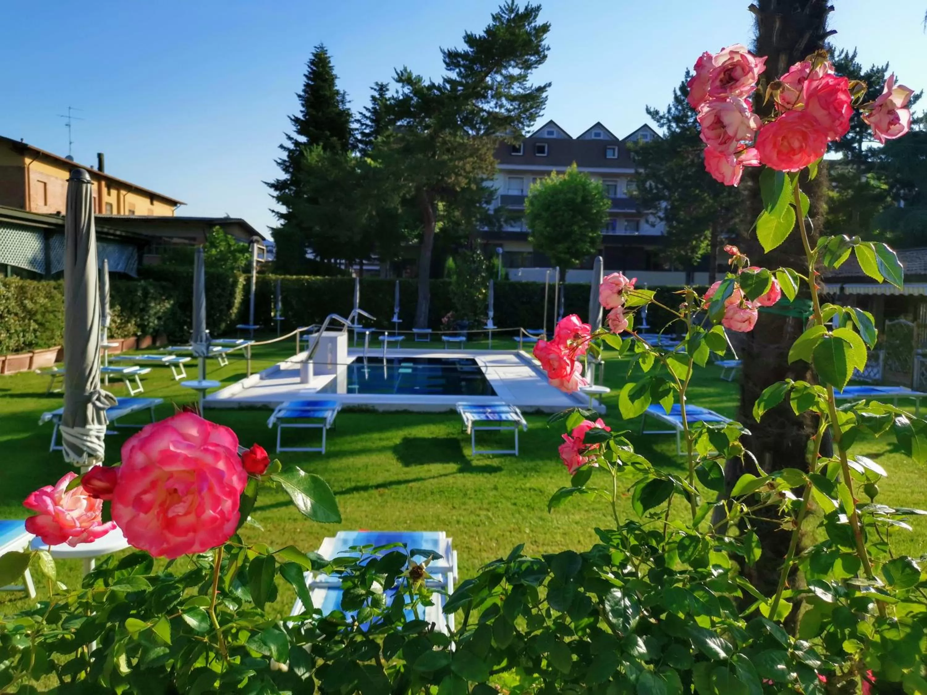 Garden in Best Western Plus Hotel Modena Resort