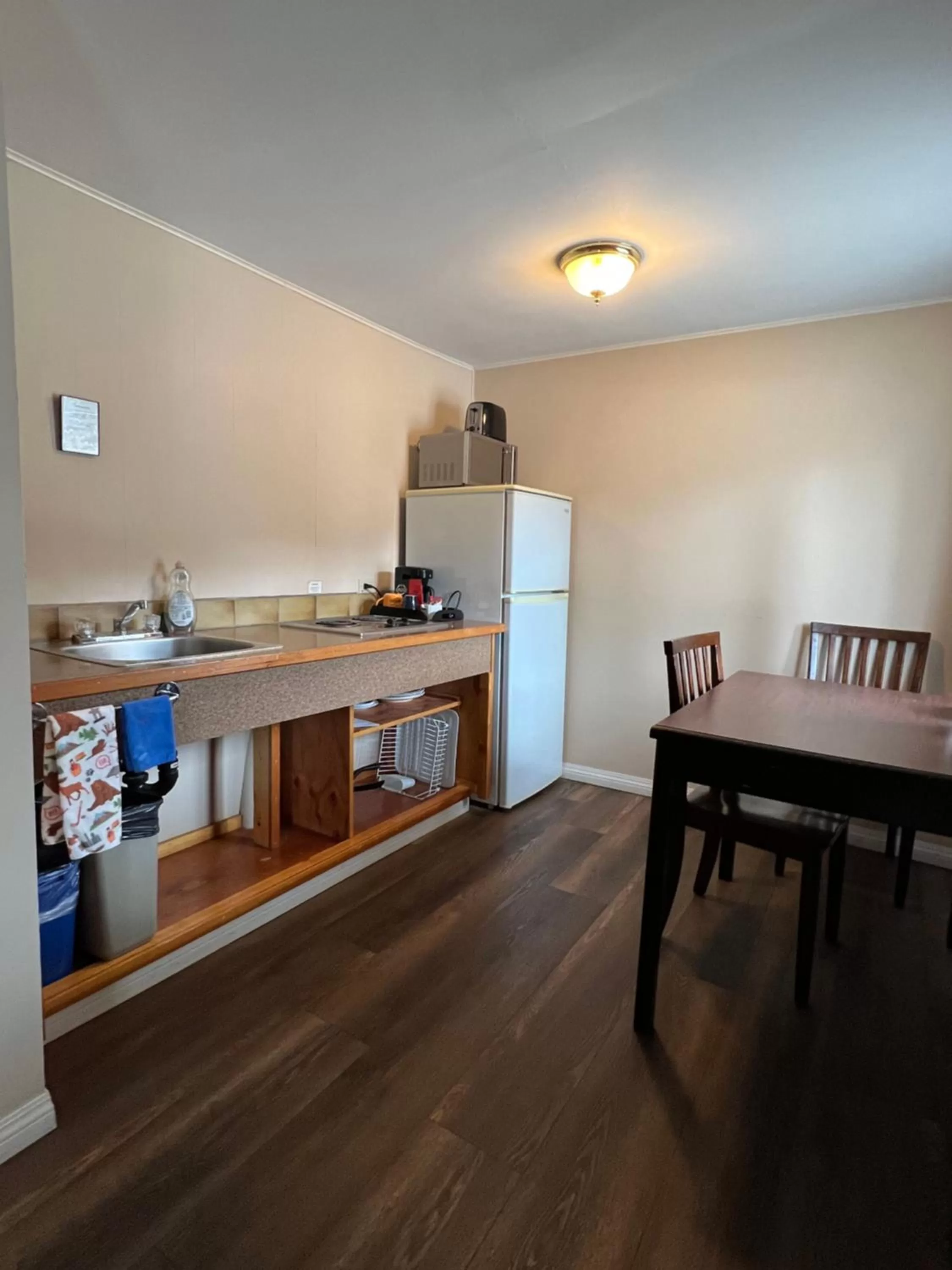 Kitchen or kitchenette in Villa Motel