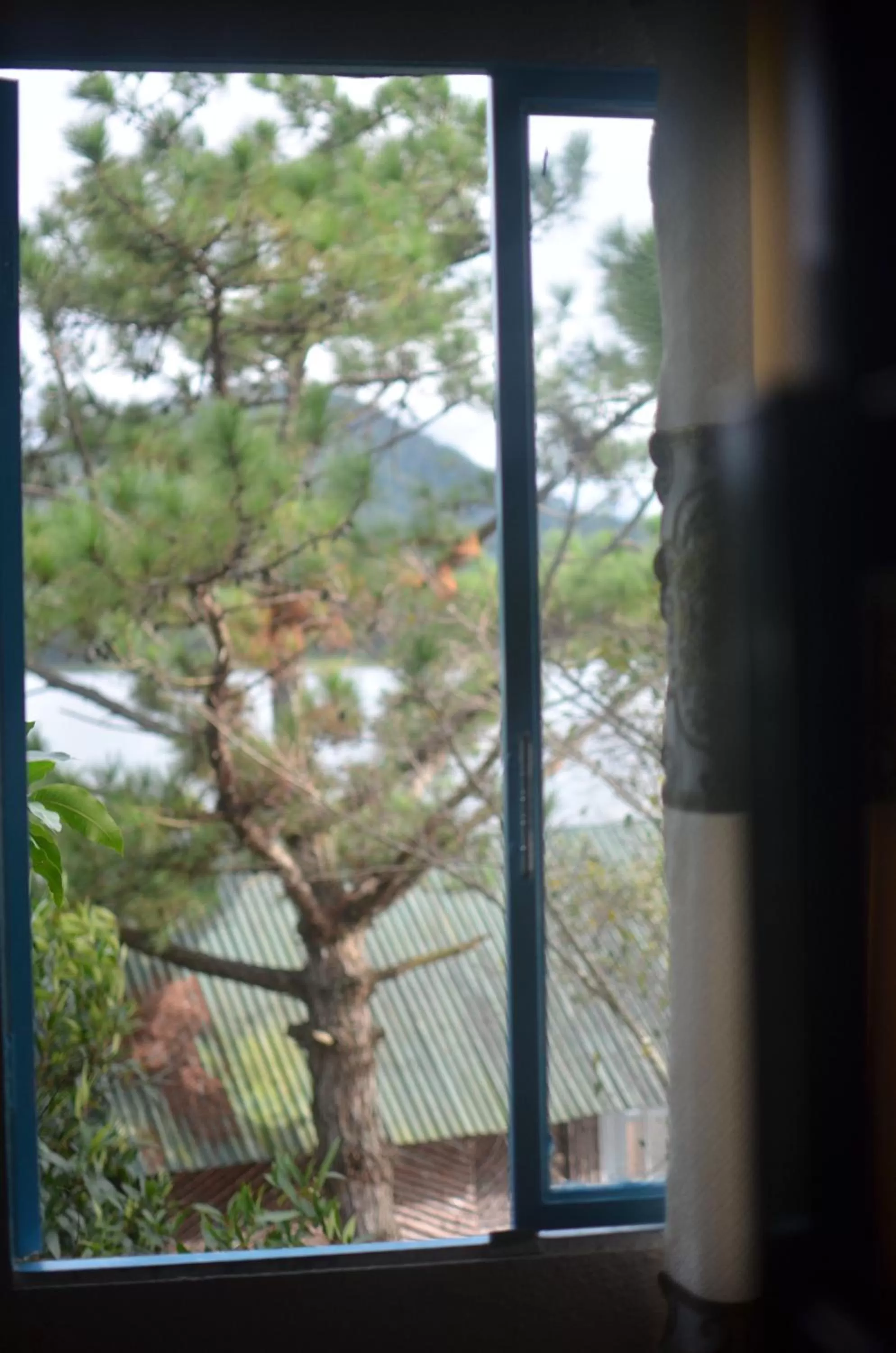 Garden view in The Lake House Dalat