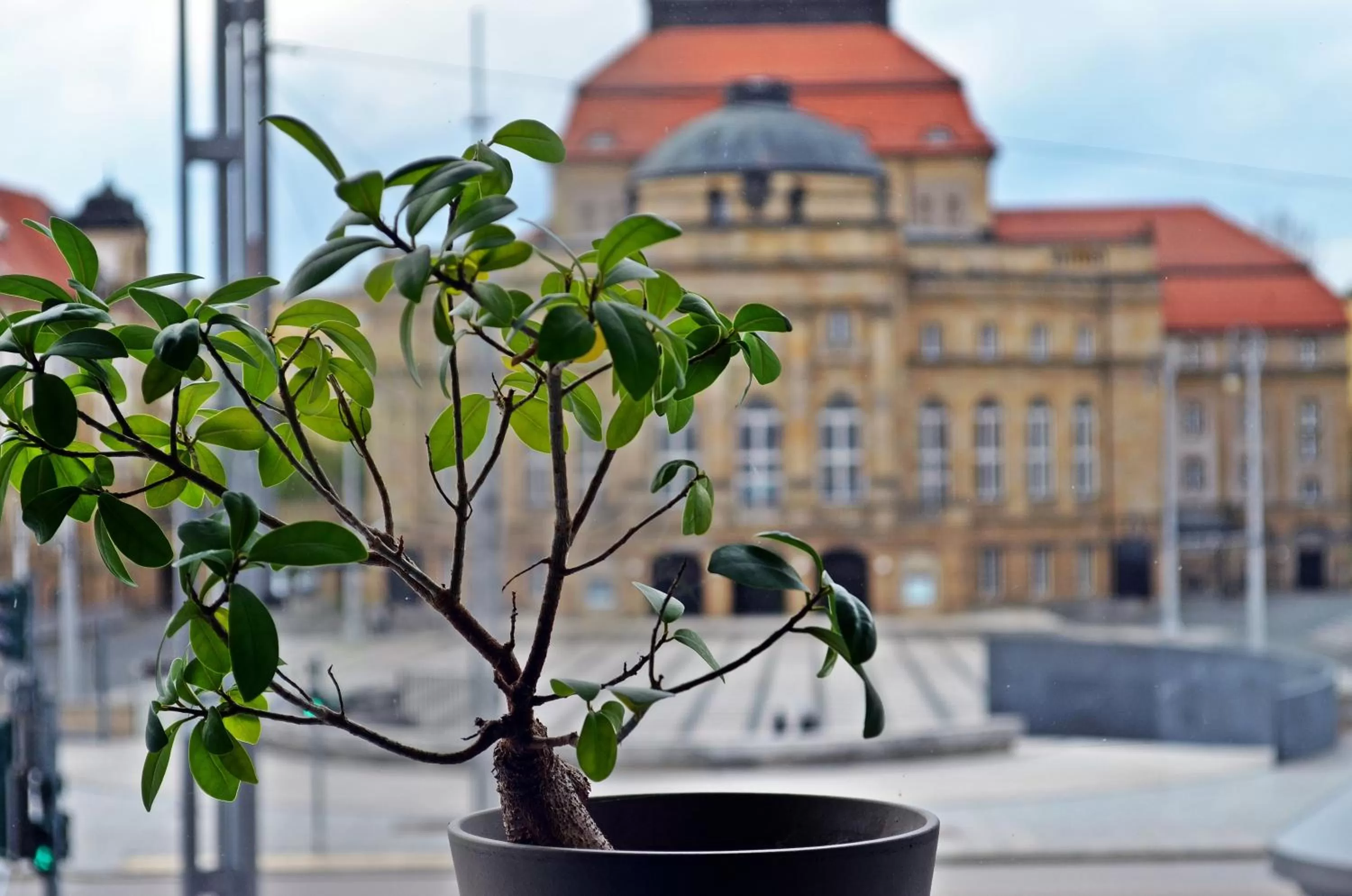 Sauna in Hotel an der Oper