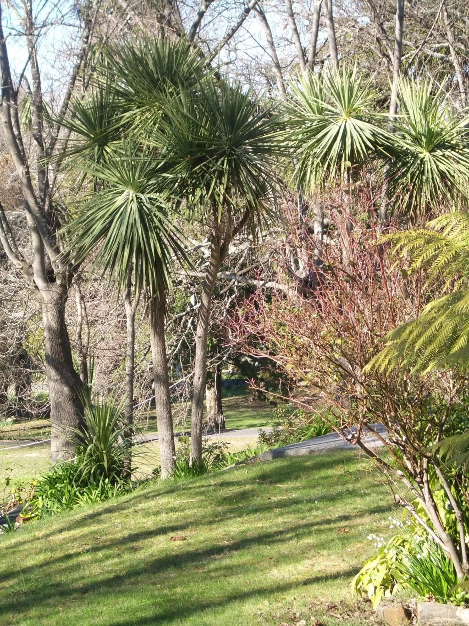 Natural landscape, Garden in Lucinda B&B