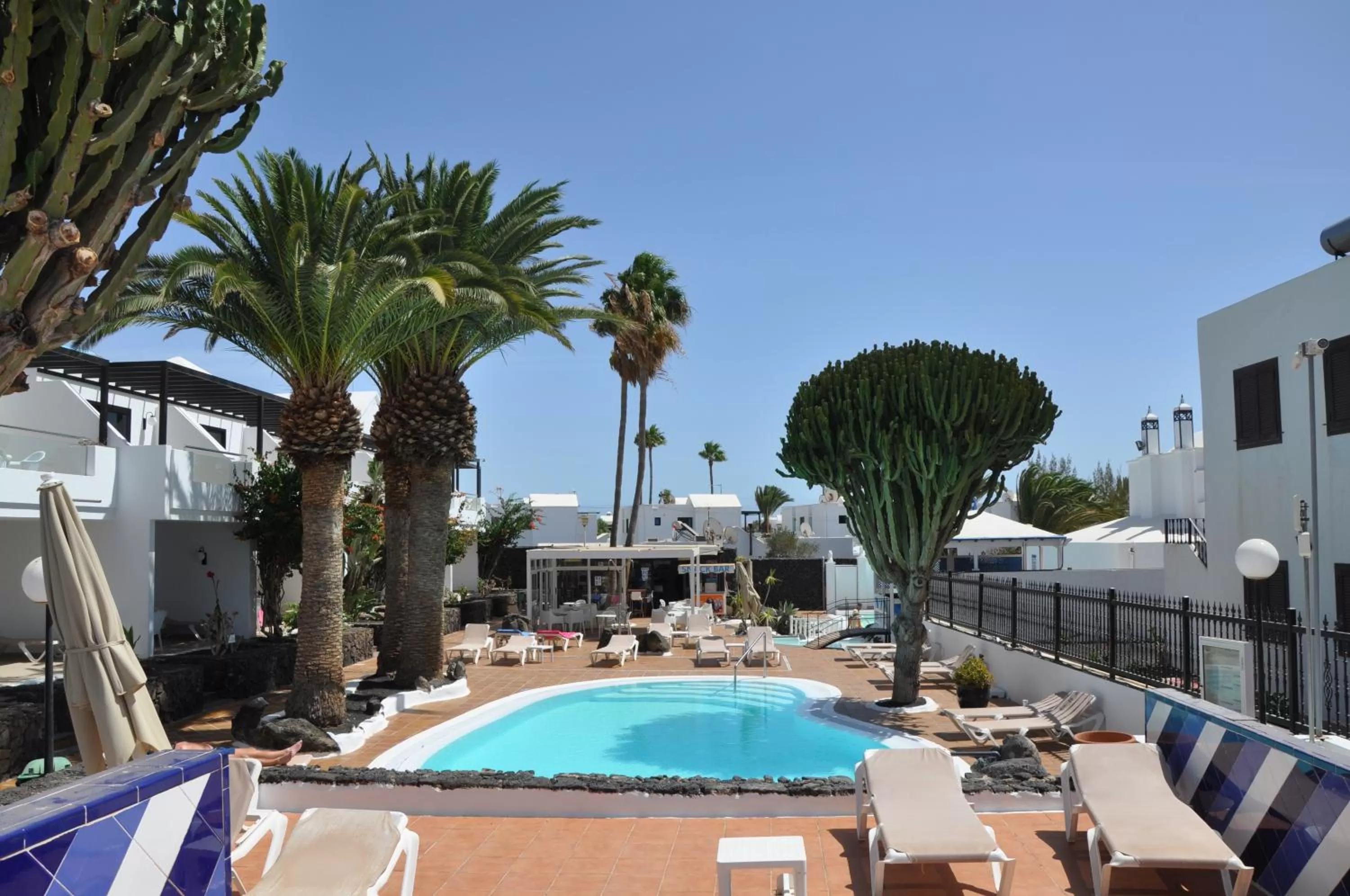 Garden in Los Tulipanes