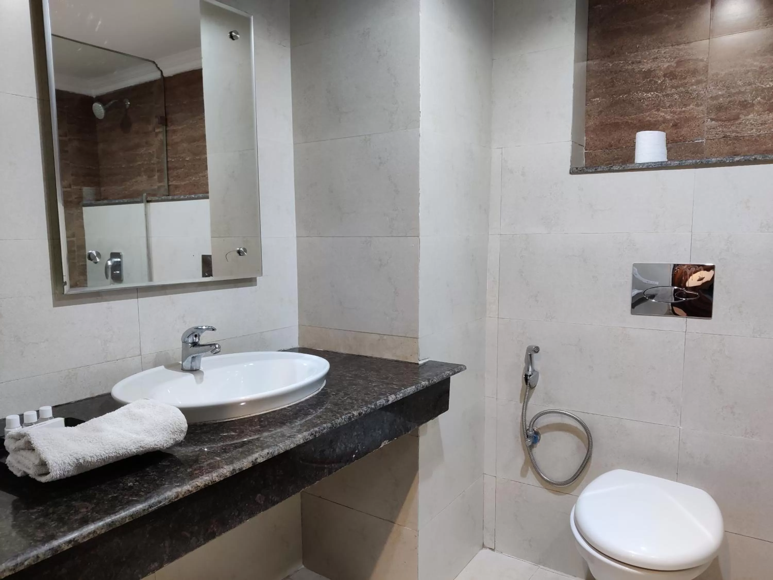 Bathroom in Hotel Shiva Continental