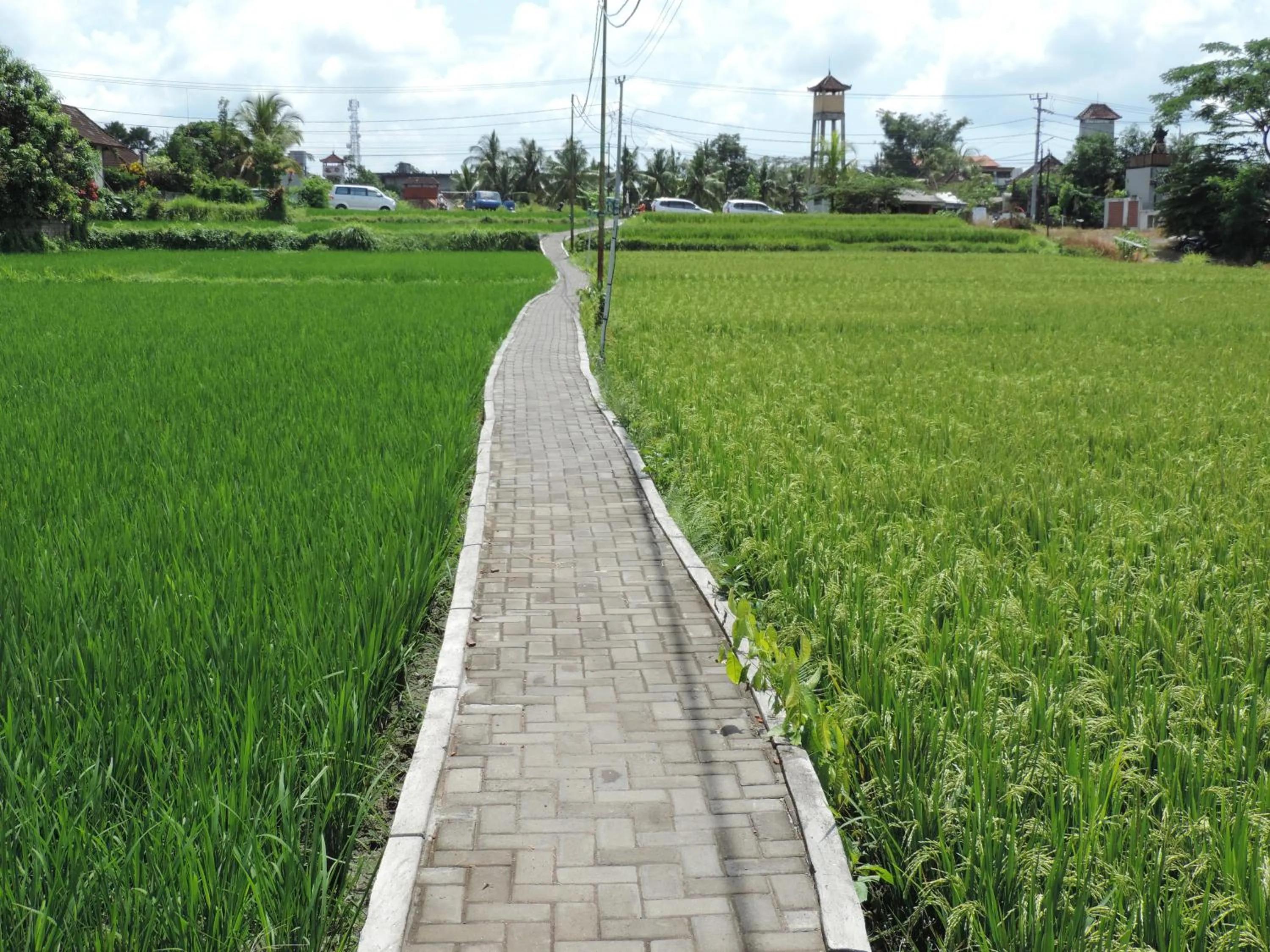 Garden view in Nick's Hidden Cottages by Mahaputra